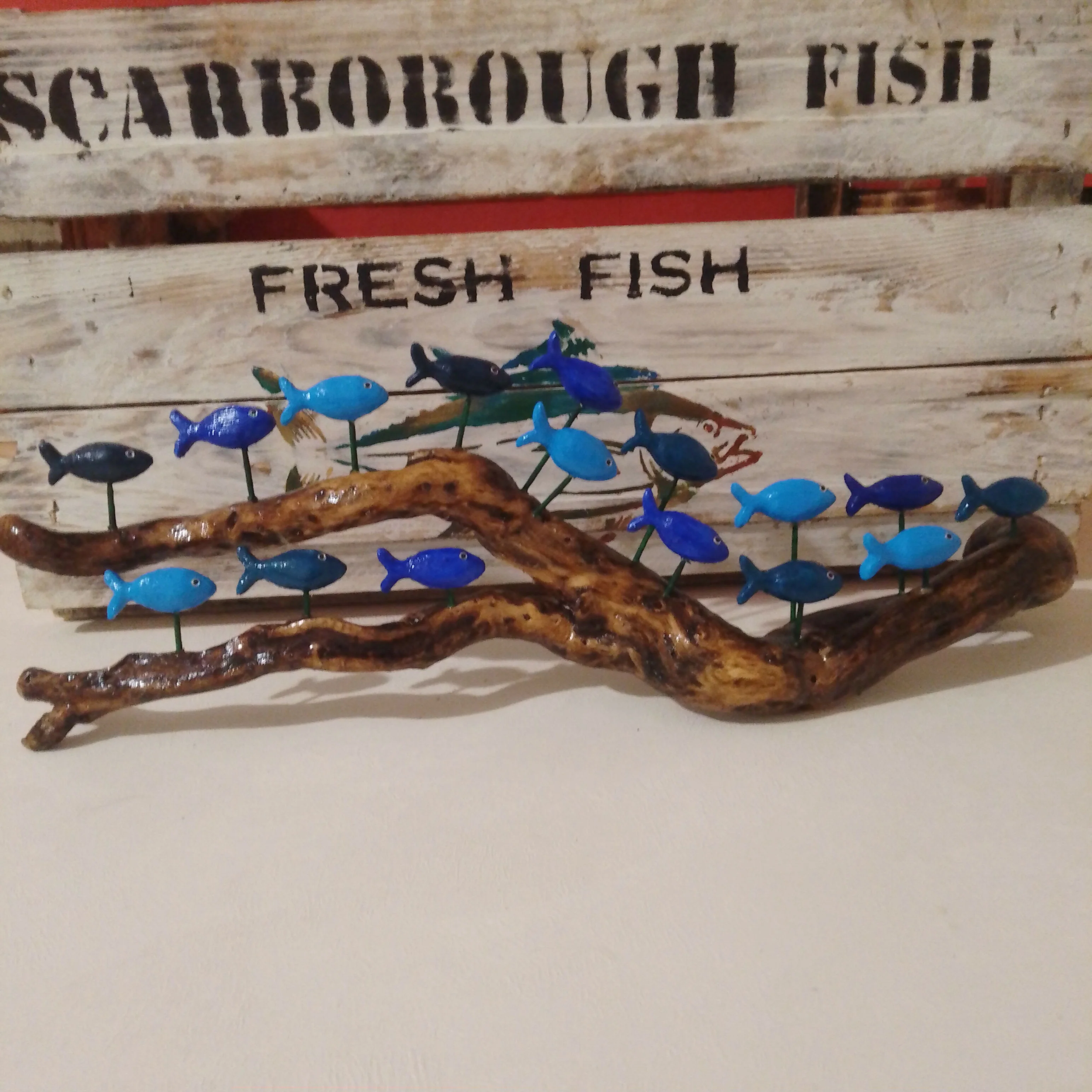 16 Fish On Driftwood