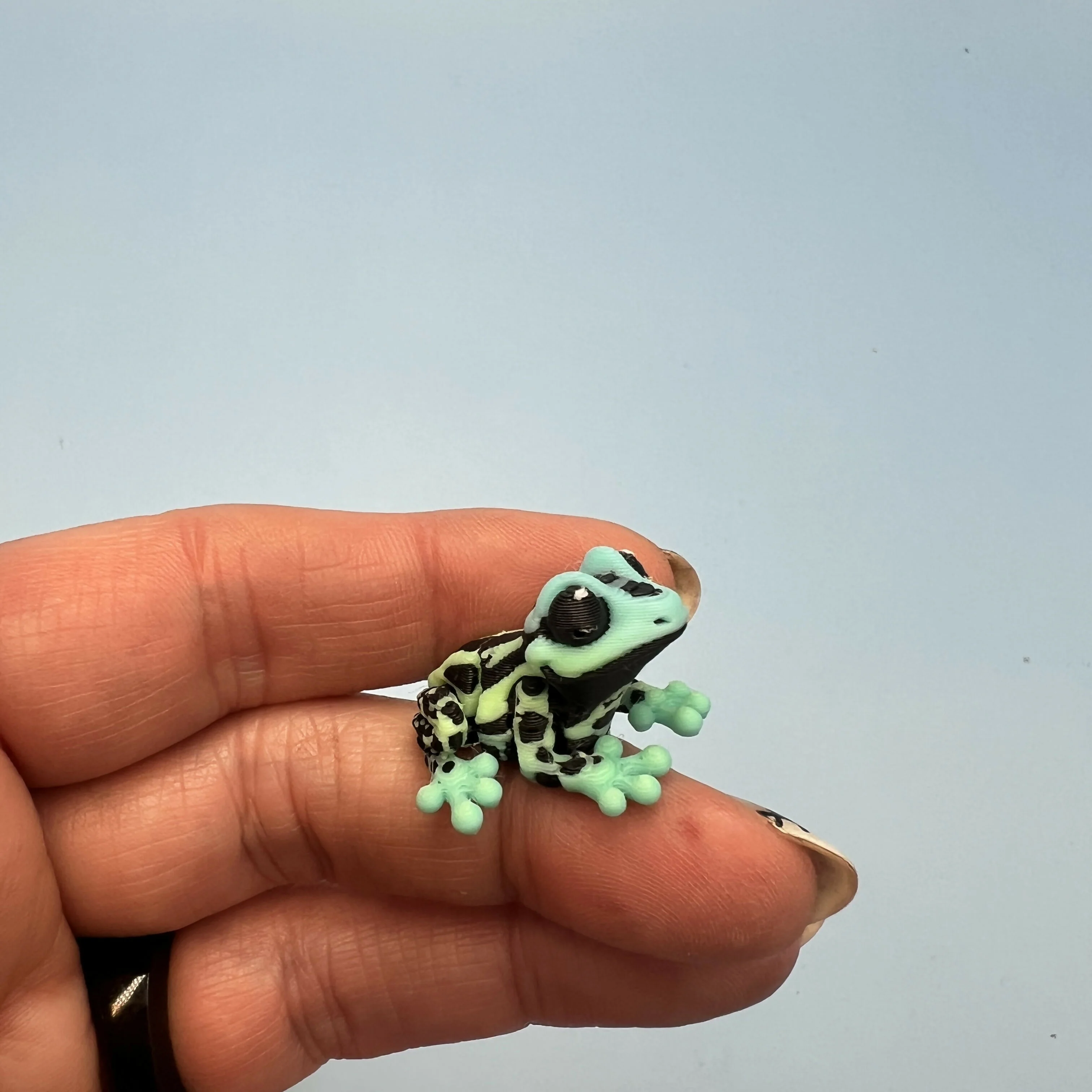 3D Printed Micro Miniatures: Articulated Sensory Fidget Animals friends Tree Frogs & dart frogs 3-4cm - Image 6