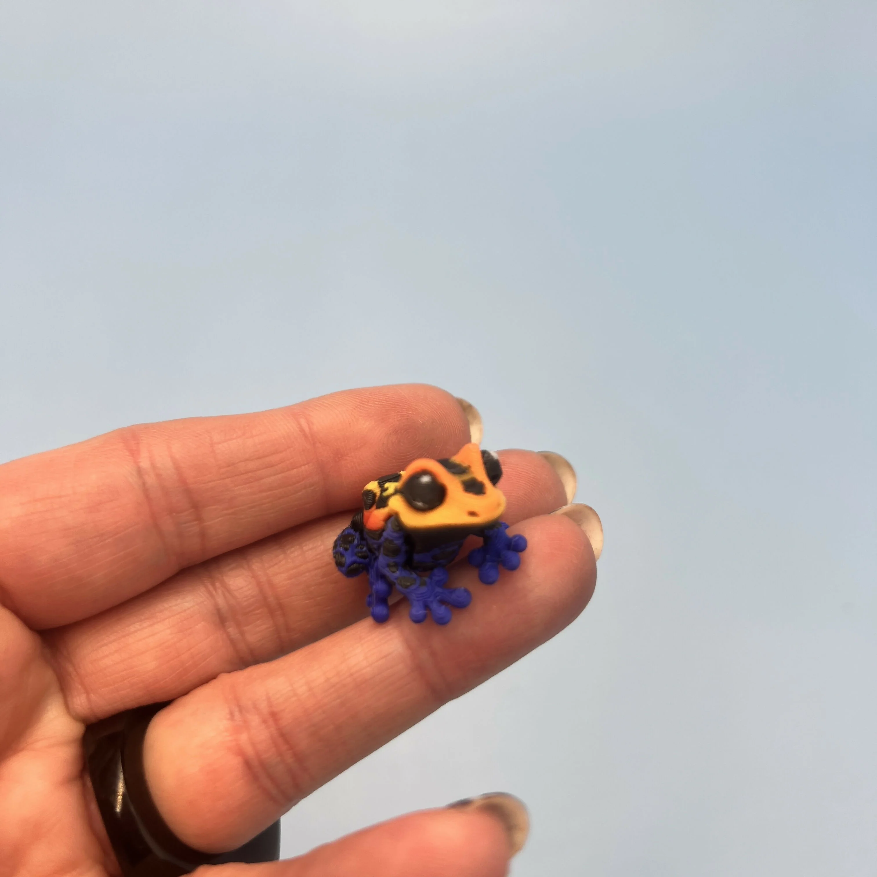 3D Printed Micro Miniatures: Articulated Sensory Fidget Animals friends Tree Frogs & dart frogs 3-4cm - Image 7