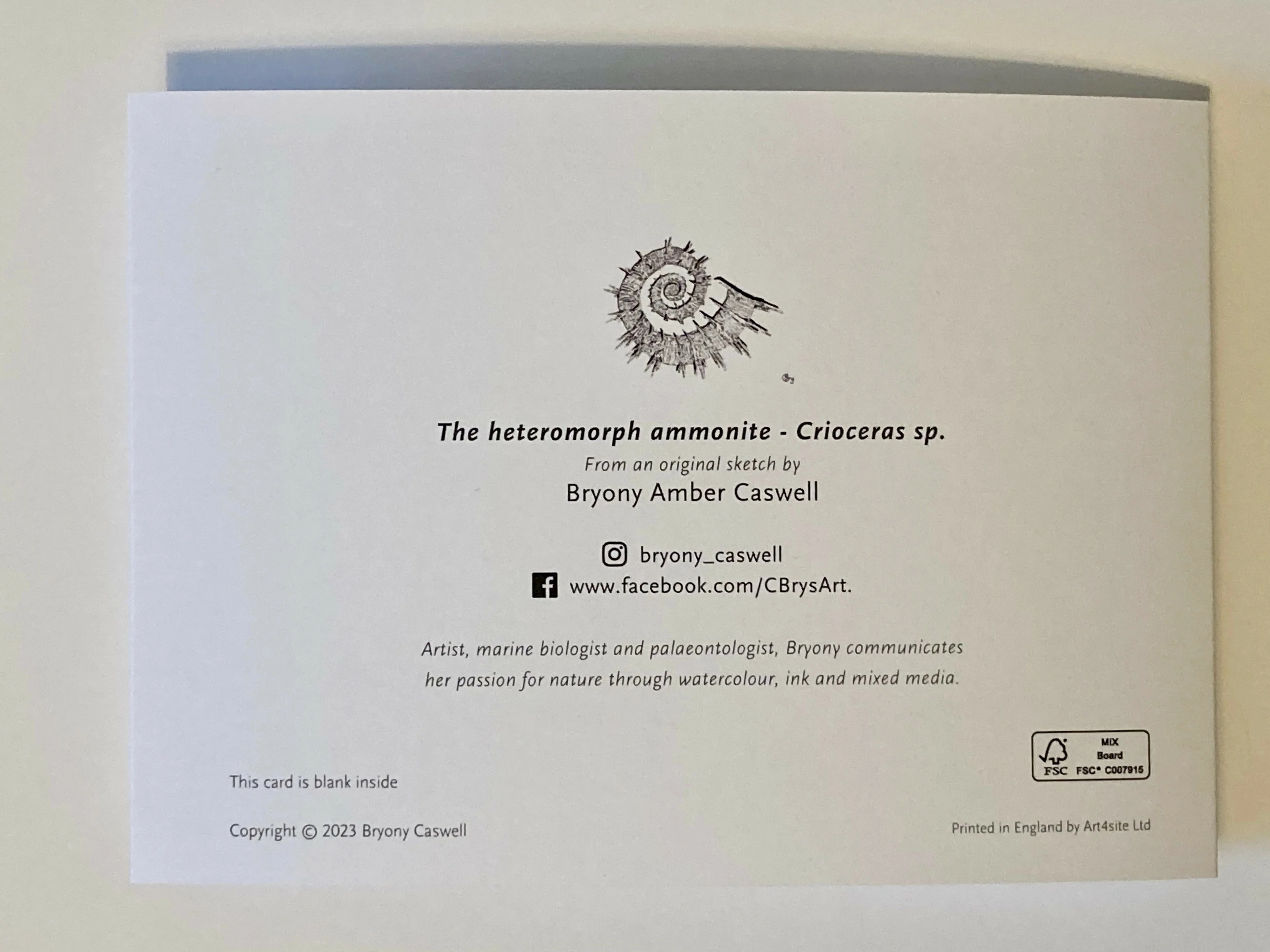 Ammonite - Greetings Card - Image 3