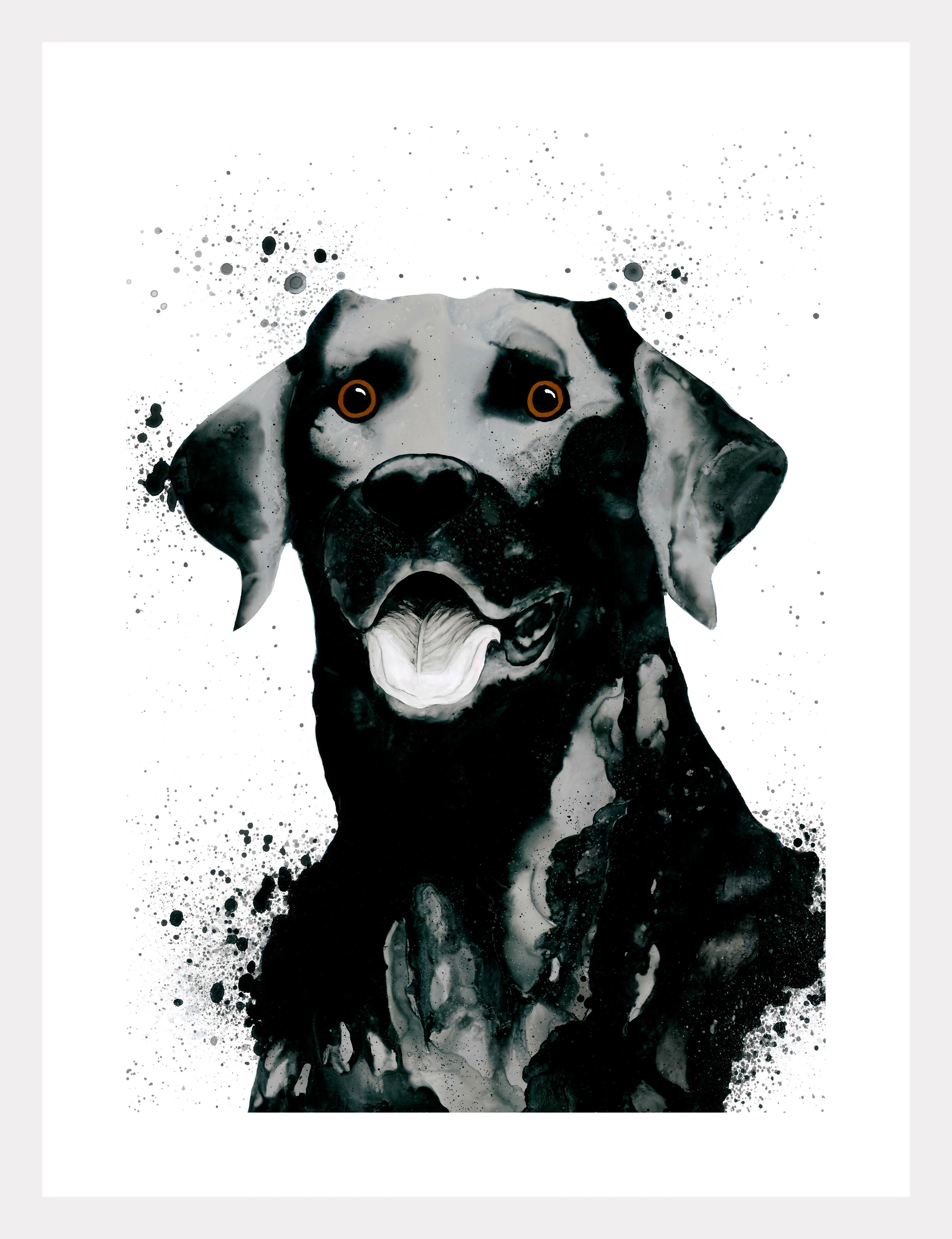 Animal Ink Fine Art Giclee Prints (348mm x 470mm) - Image 26