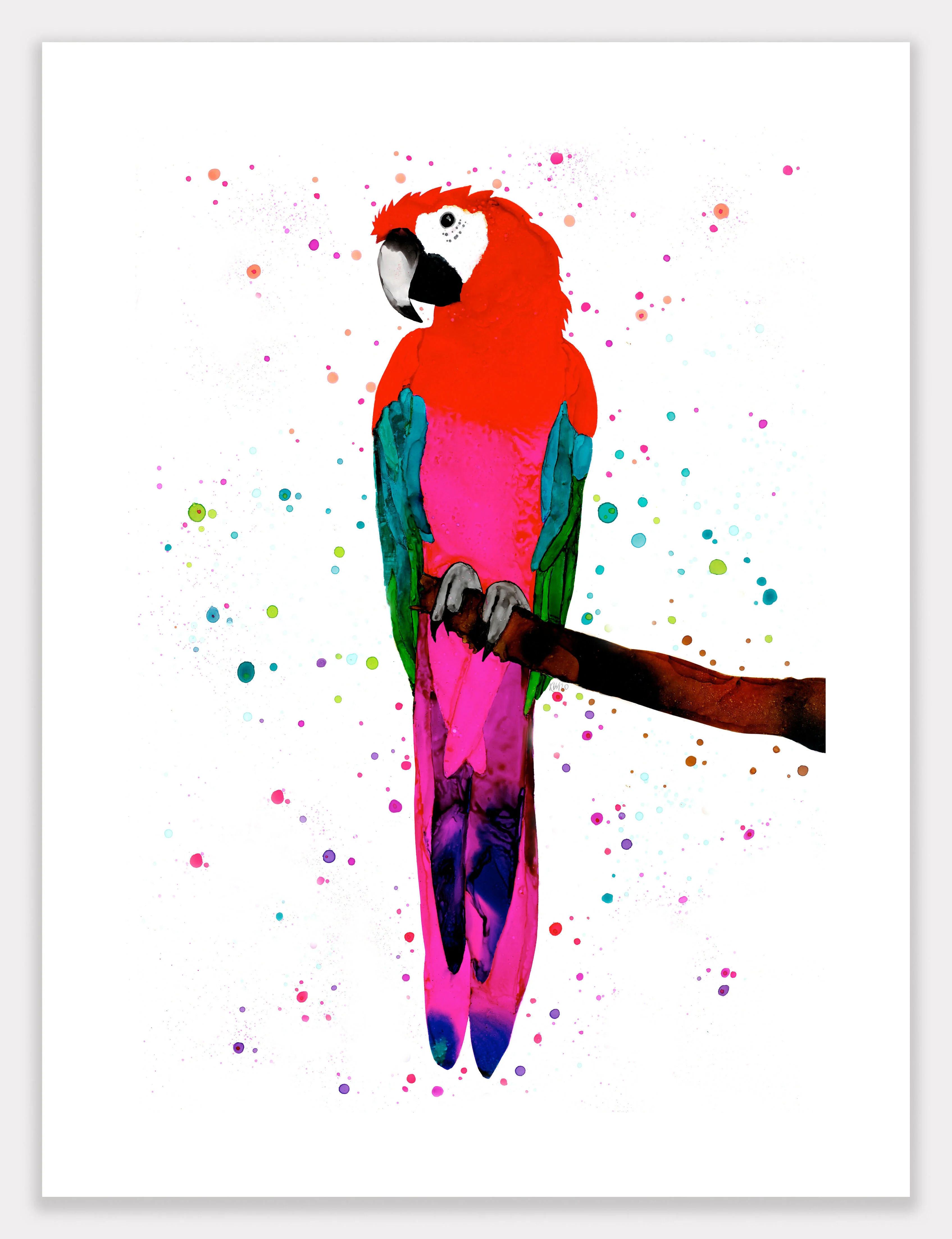 Animal Ink Fine Art Giclee Prints (348mm x 470mm) - Image 32
