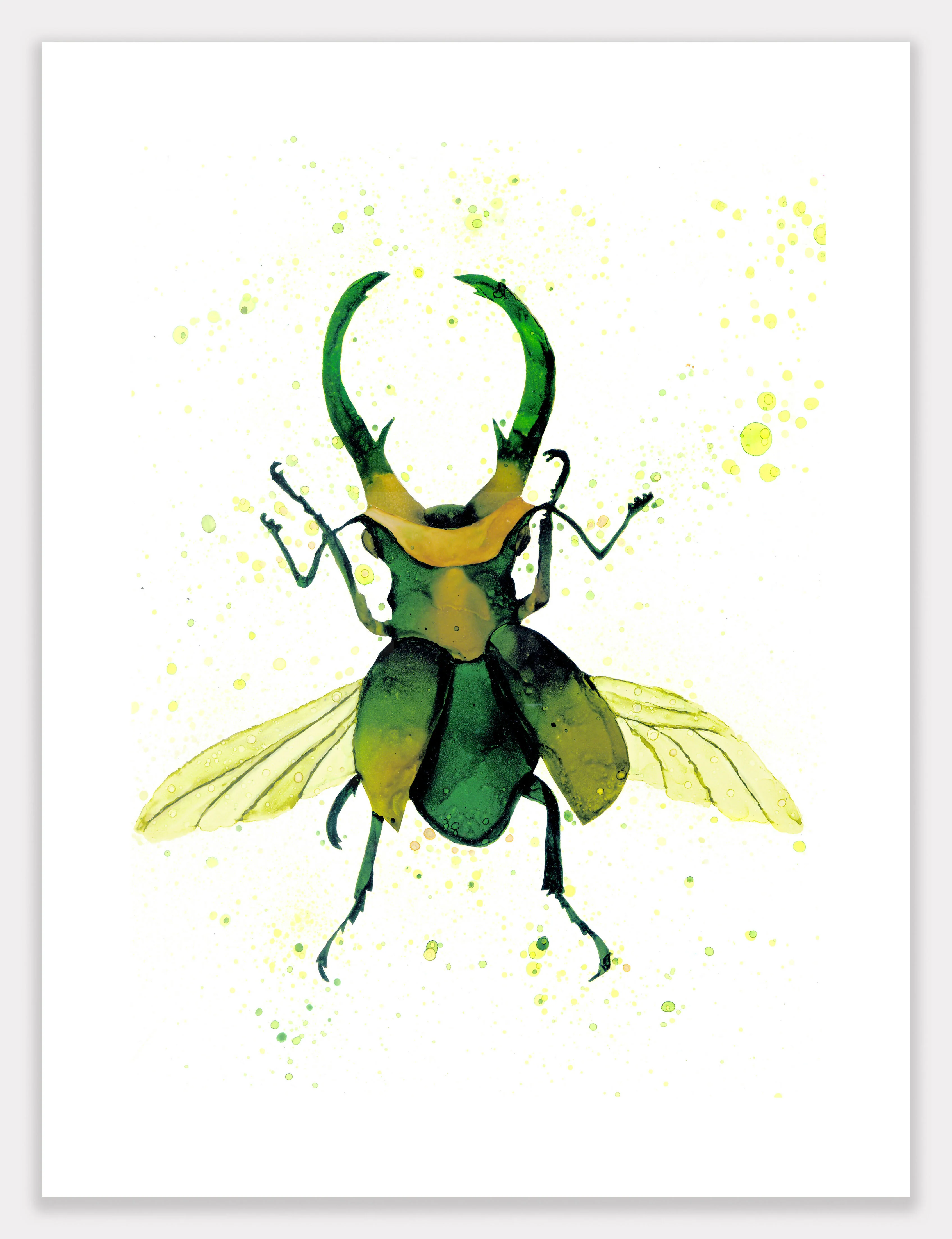 Animal Ink Fine Art Giclee Prints (348mm x 470mm) - Image 7