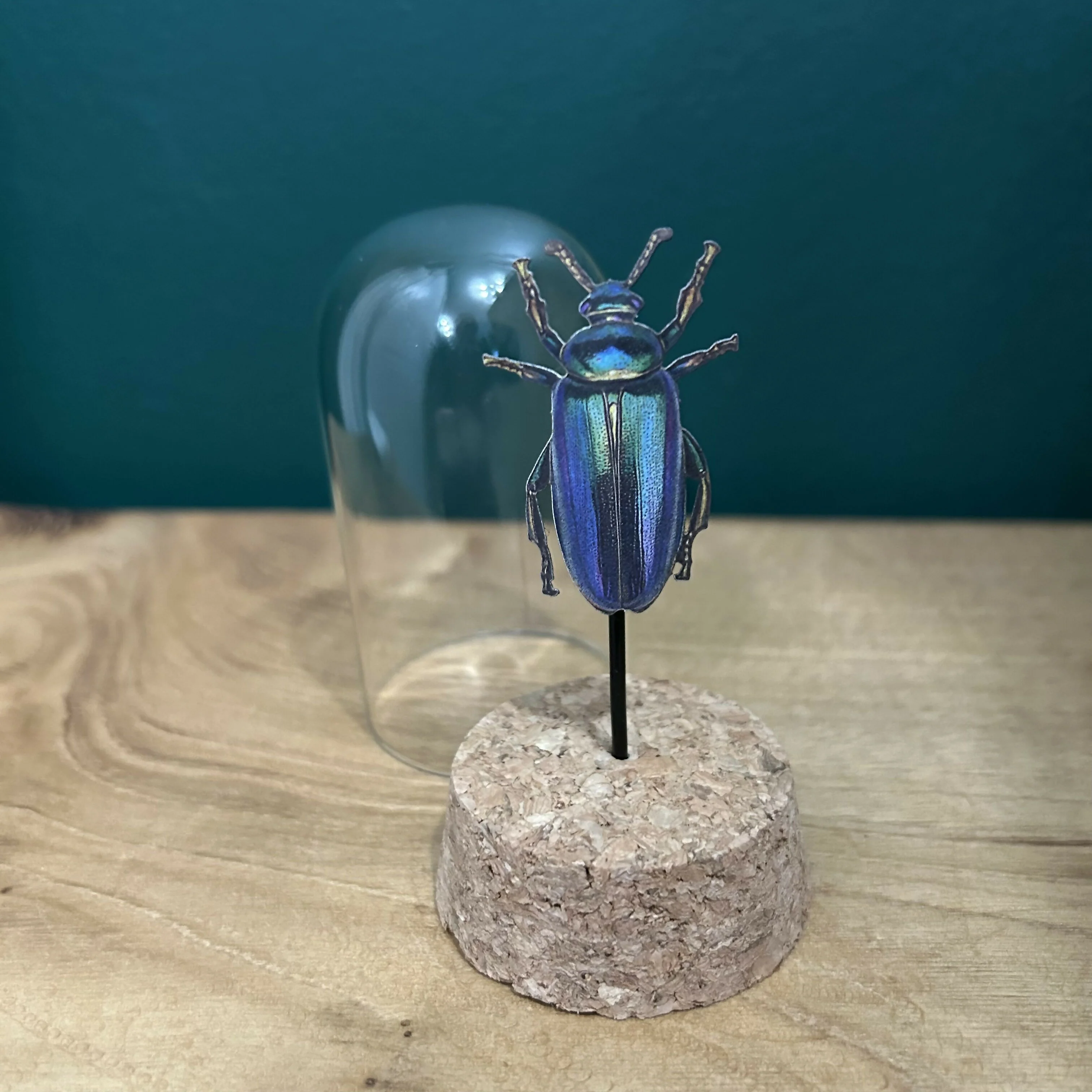 Antique Inspired Beetle In A Dome