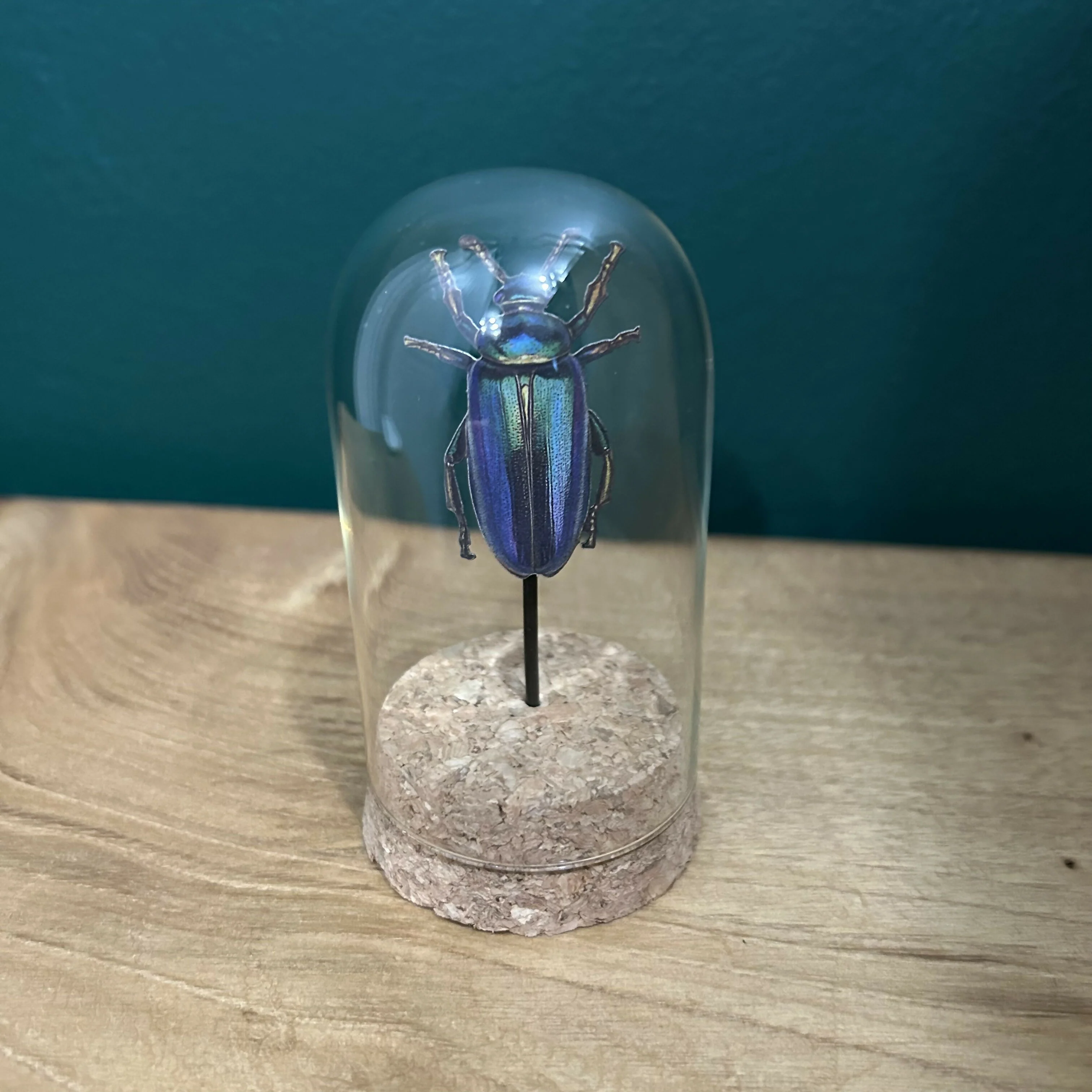 Antique Inspired Beetle In A Dome - Image 2