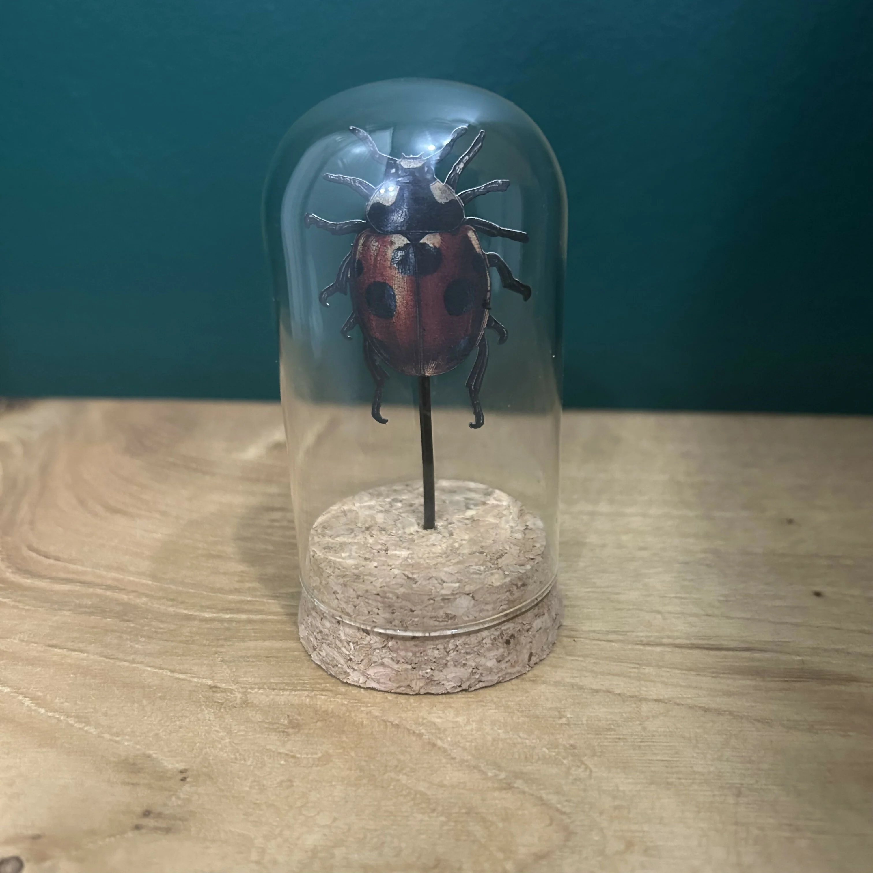 Antique Inspired Lady Bug In A Glass Dome - Image 2