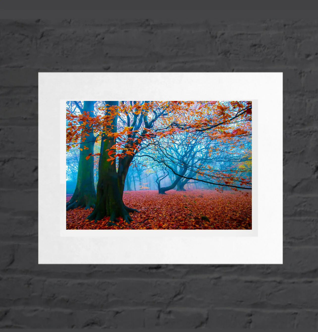 Autumn Mist, Golden Acre Park, Mounted Photographic Print