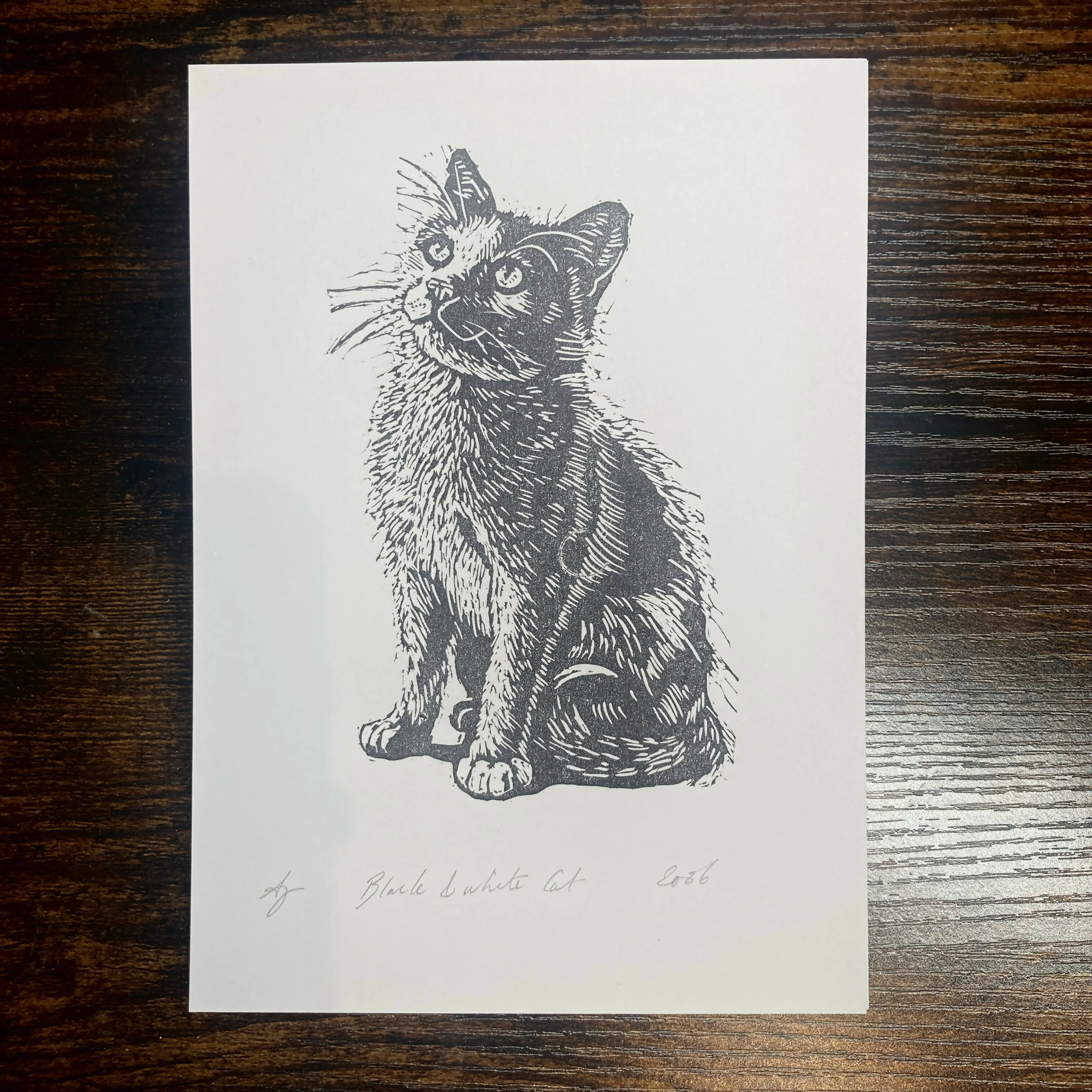 B&W Cat - 5x7