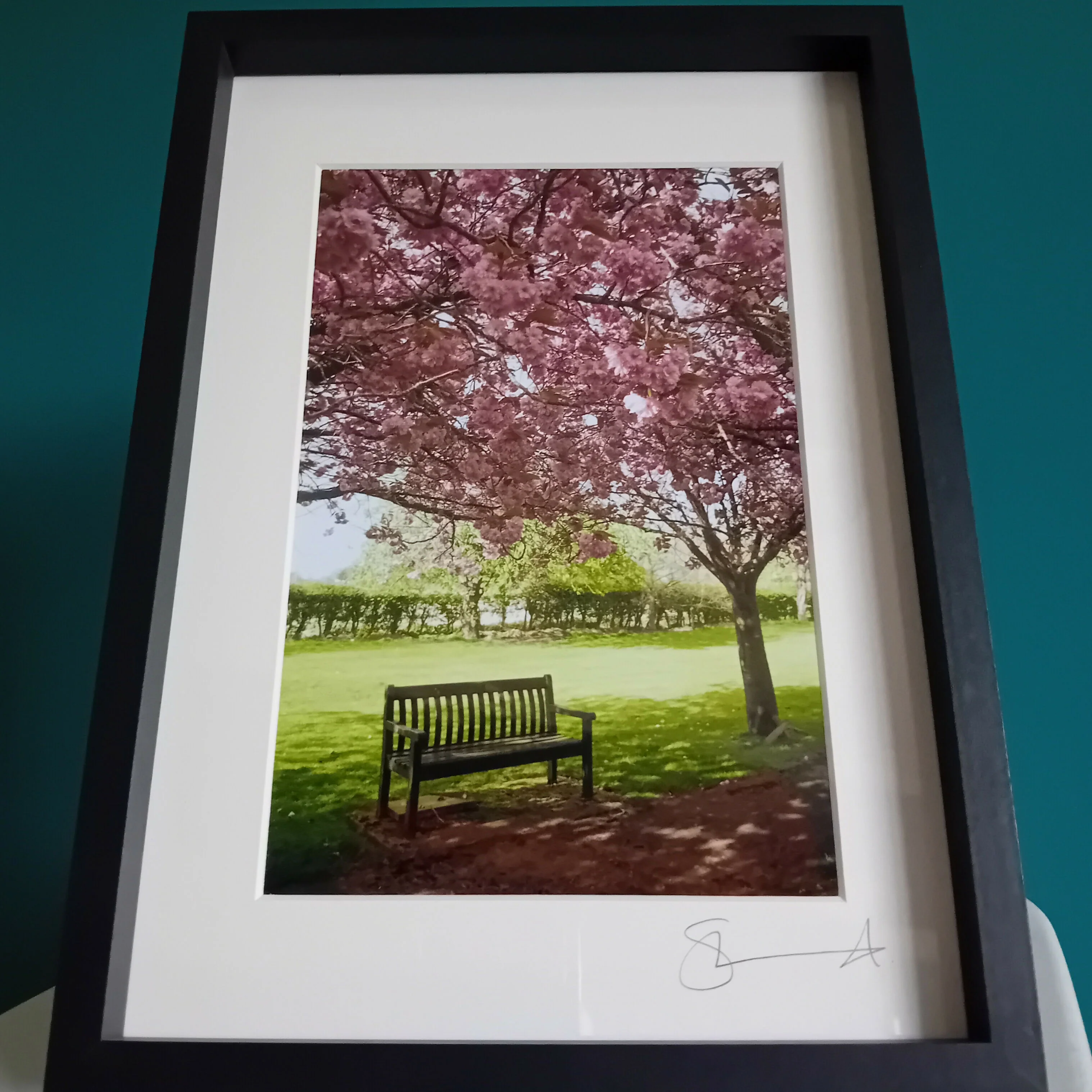 Bench In The Blossom (A4 Frame) - Image 2