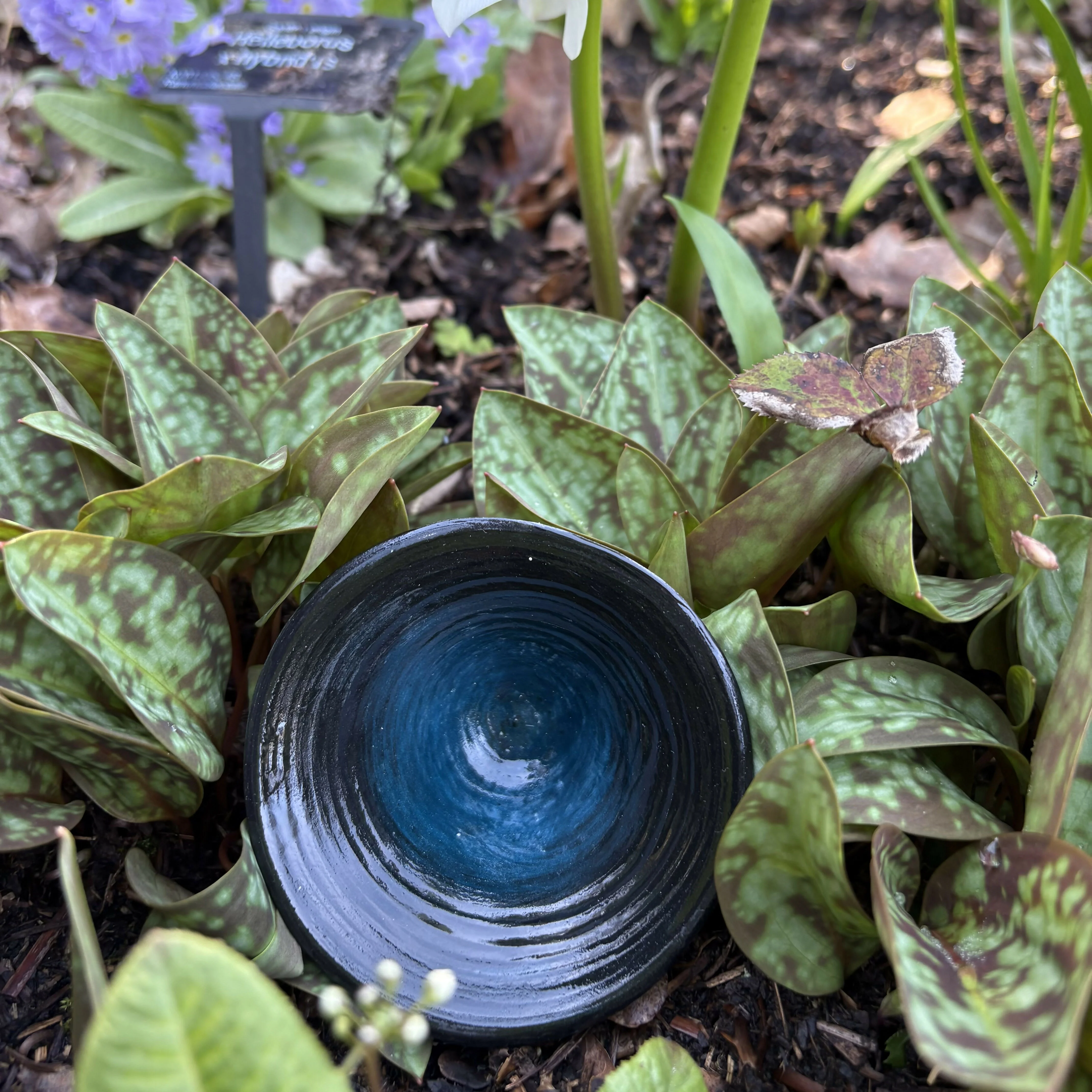 Black and Turquoise Speckled Bowl