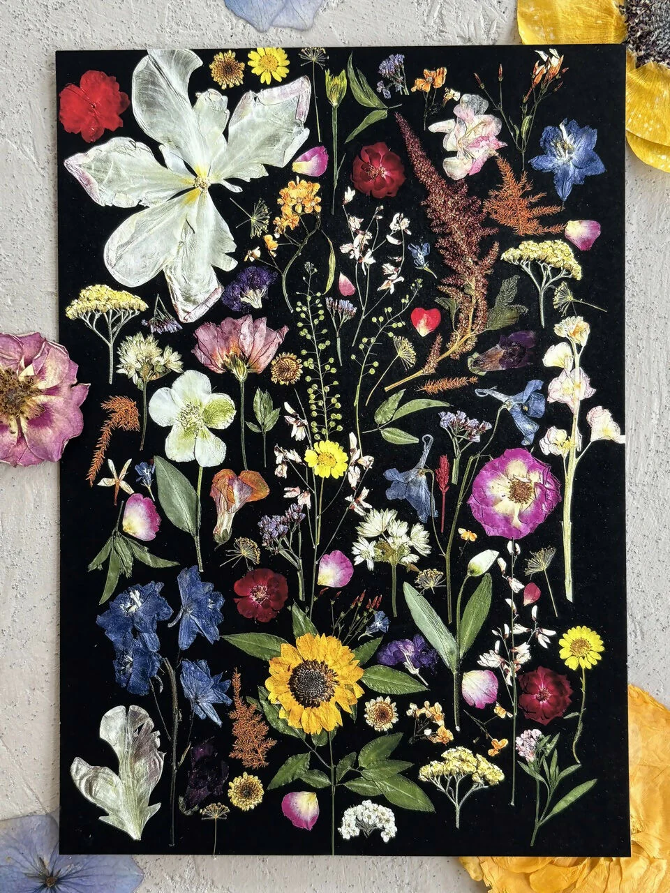 Black Multicoloured Giclee Print A5