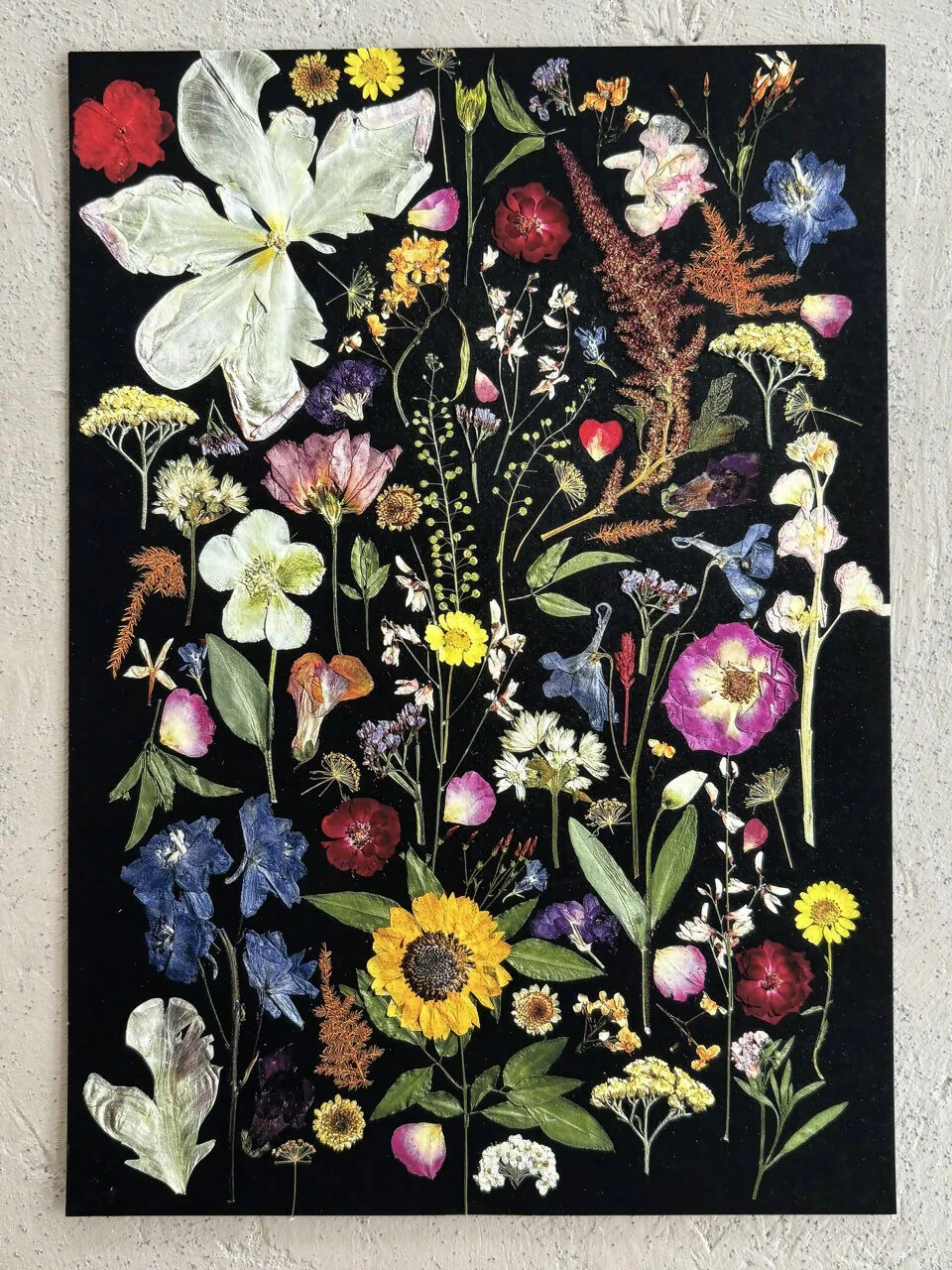 Black Multicoloured Giclee Print A5 - Image 3