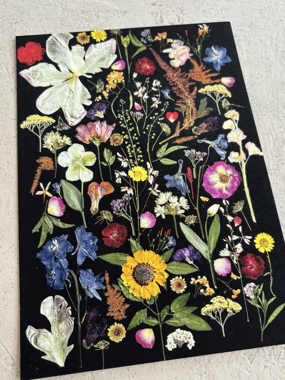 Black Multicoloured Giclee Print A5 - Image 4