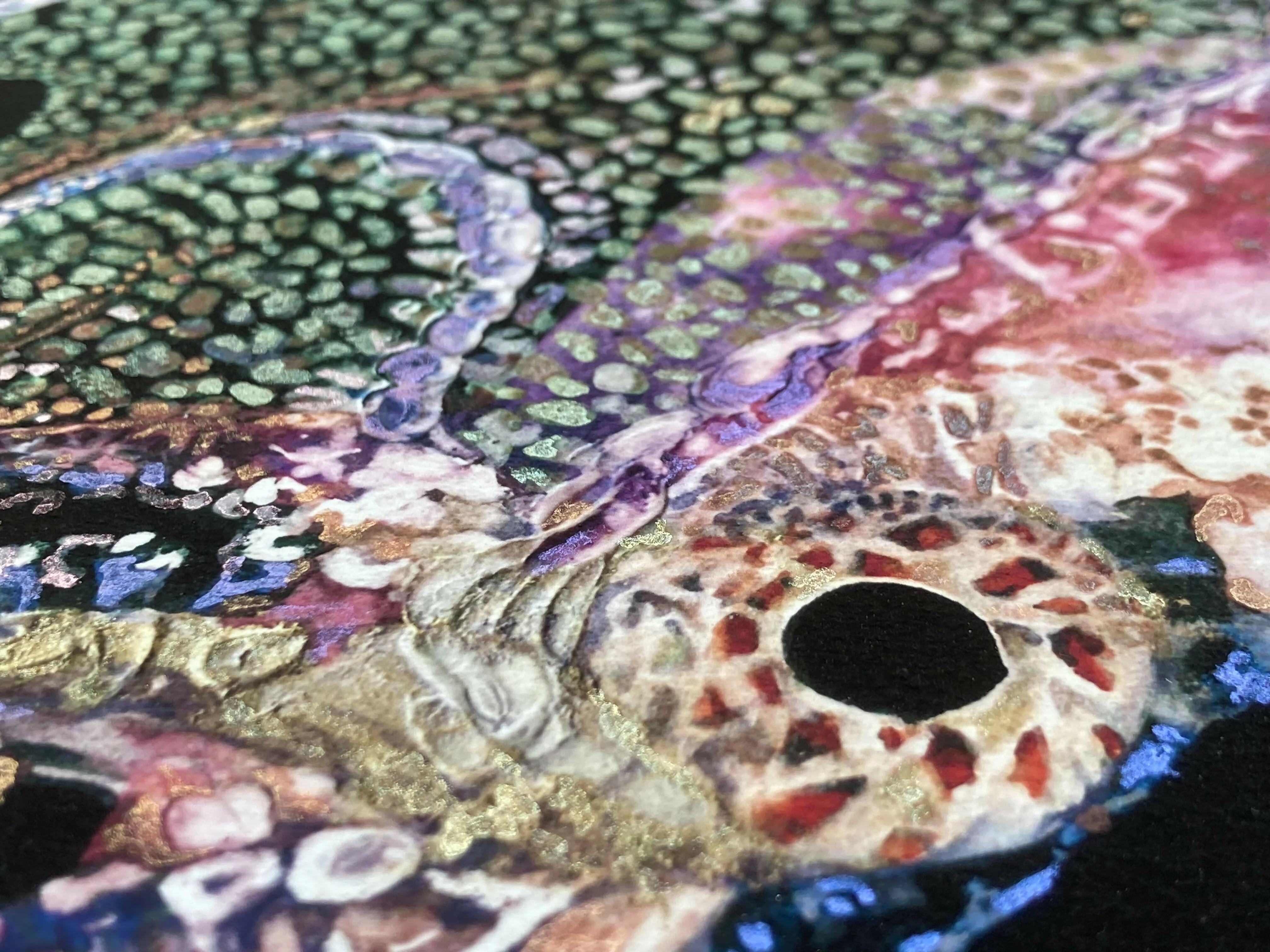 Blanket Octopus - Hand Finished - Print - Image 4