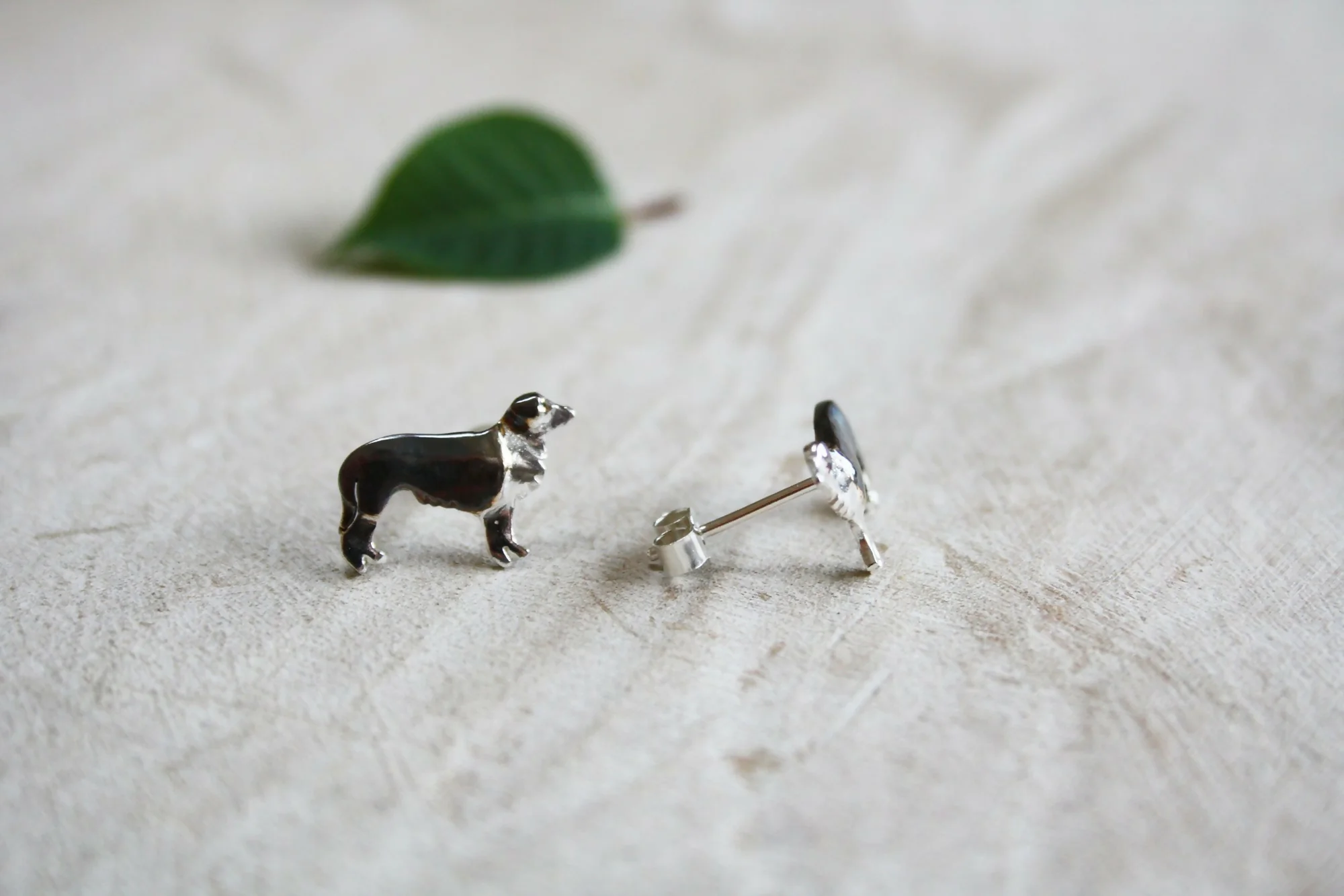 Border Collie Studs - Image 2