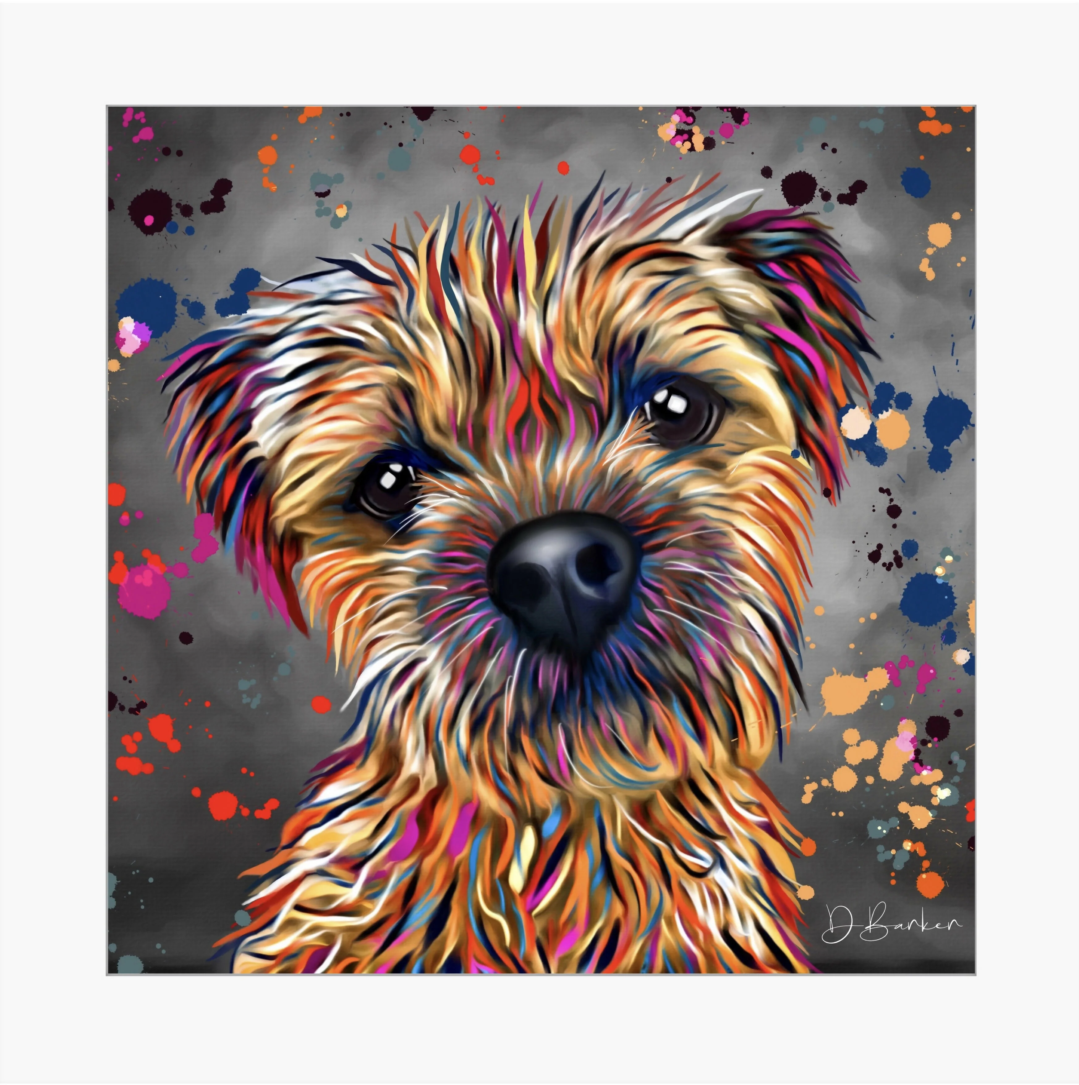 BORDER TERRIER DOG COLOUR SPLASH FRAMED ARTWORK. - Image 2