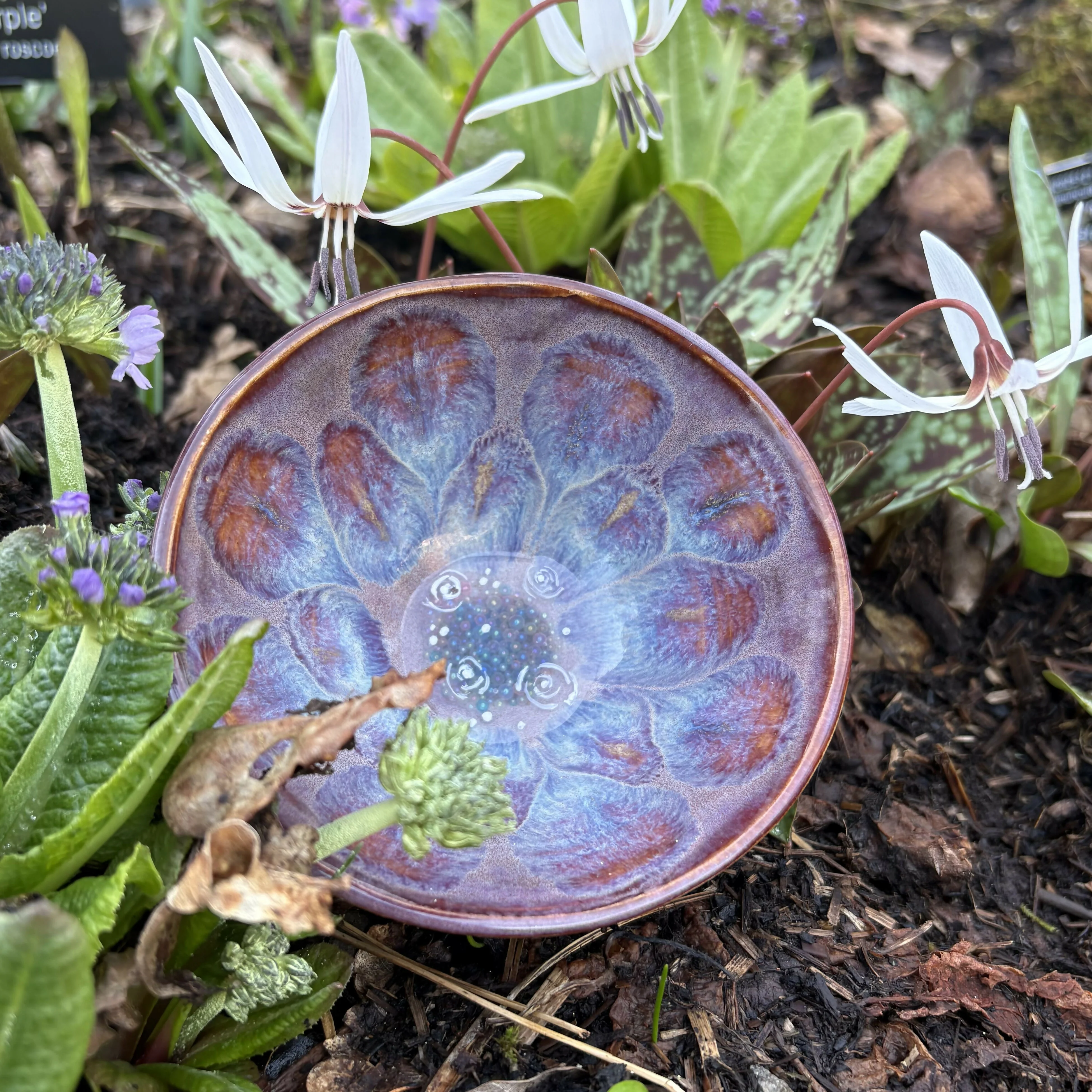 Bubble Bowl