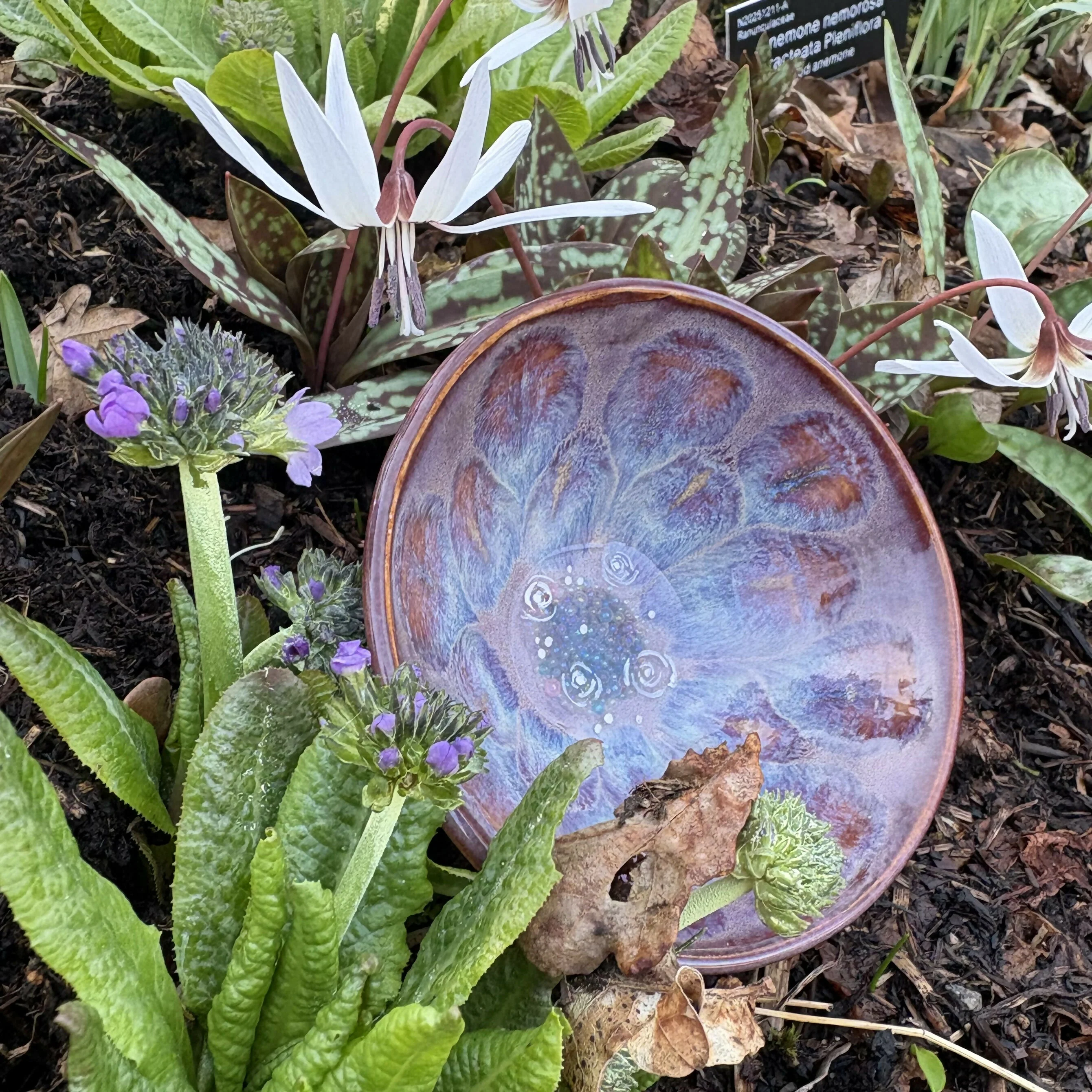 Bubble Bowl - Image 2