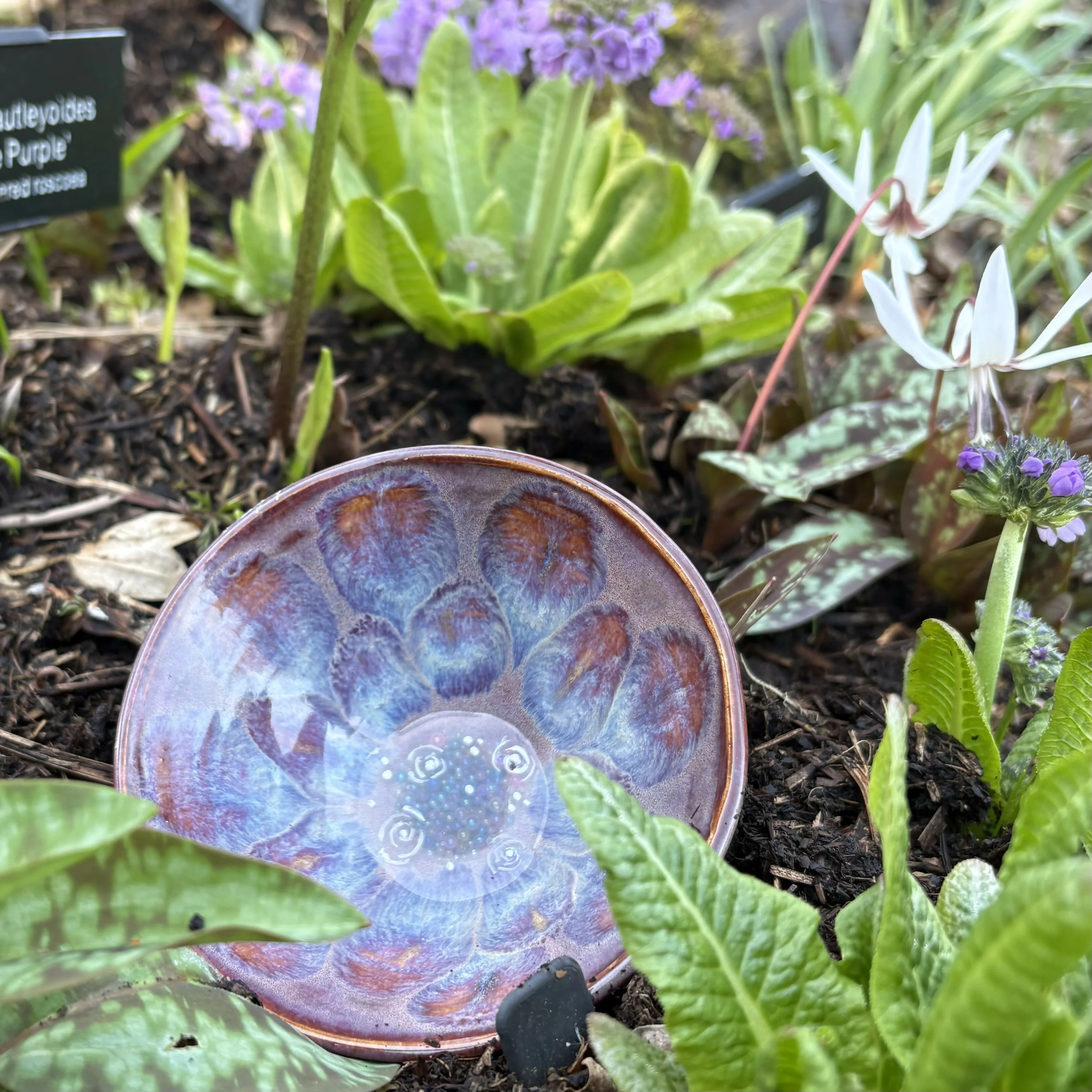 Bubble Bowl - Image 3