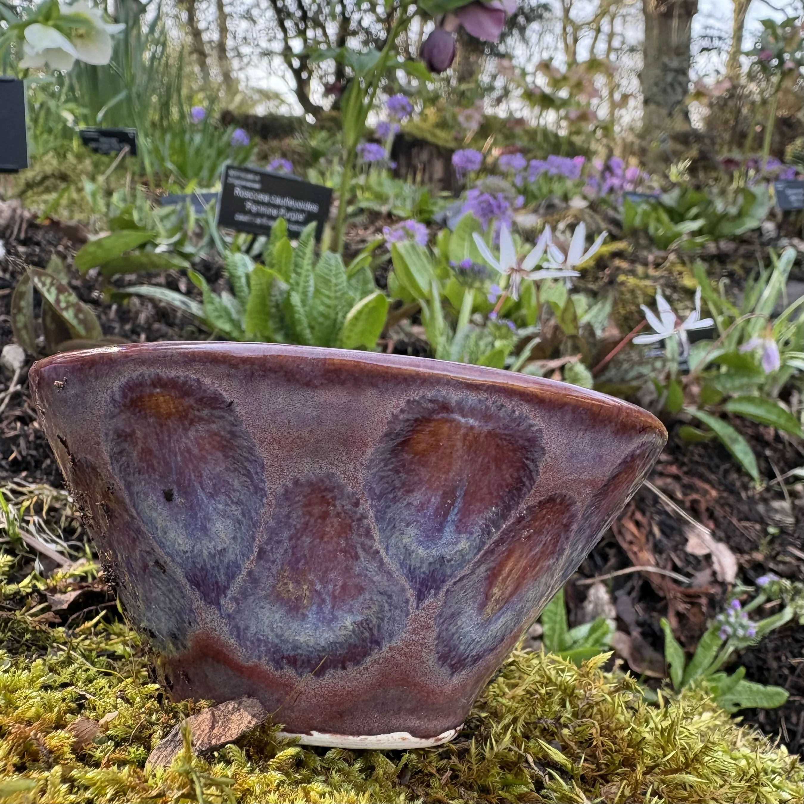 Bubble Bowl - Image 4