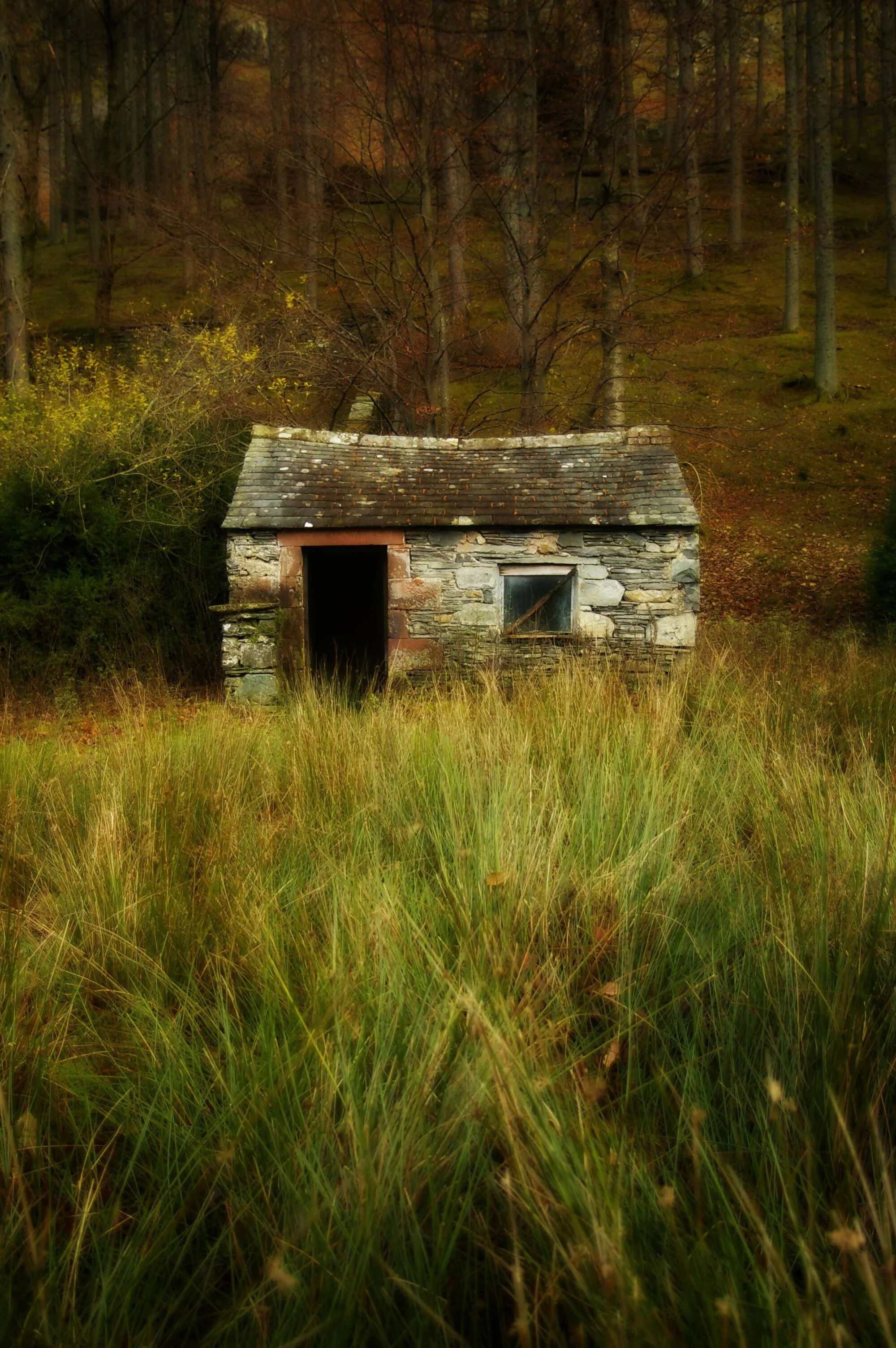 Buttermere - Card - Image 2