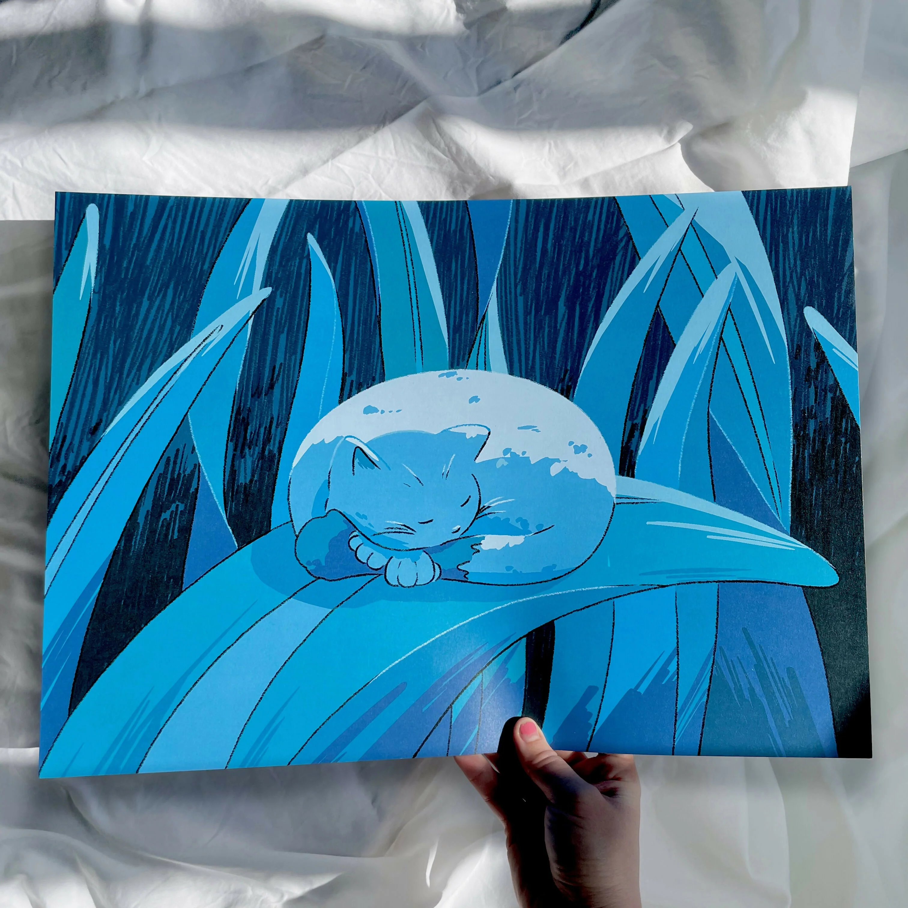 Cat Nap A3 Print