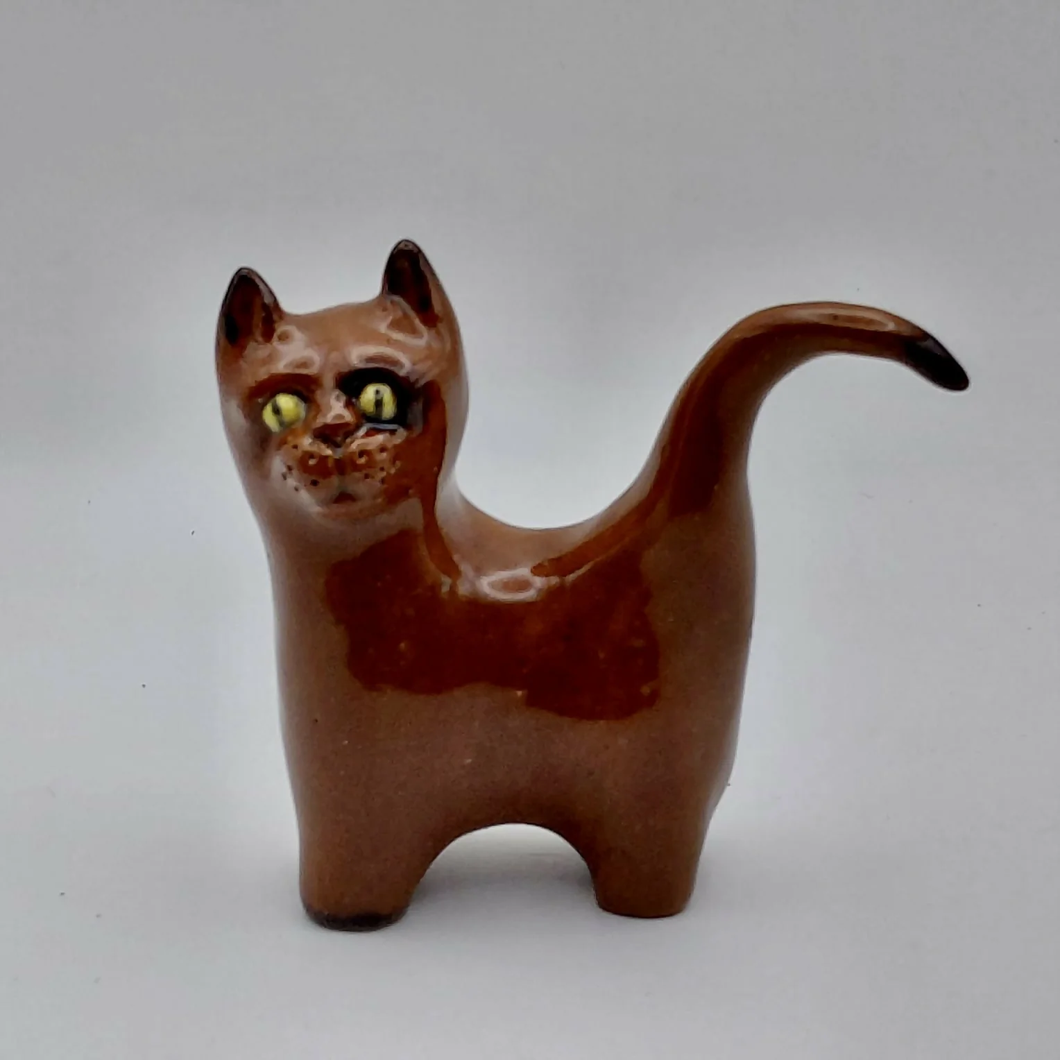 Chestnut Curious cat