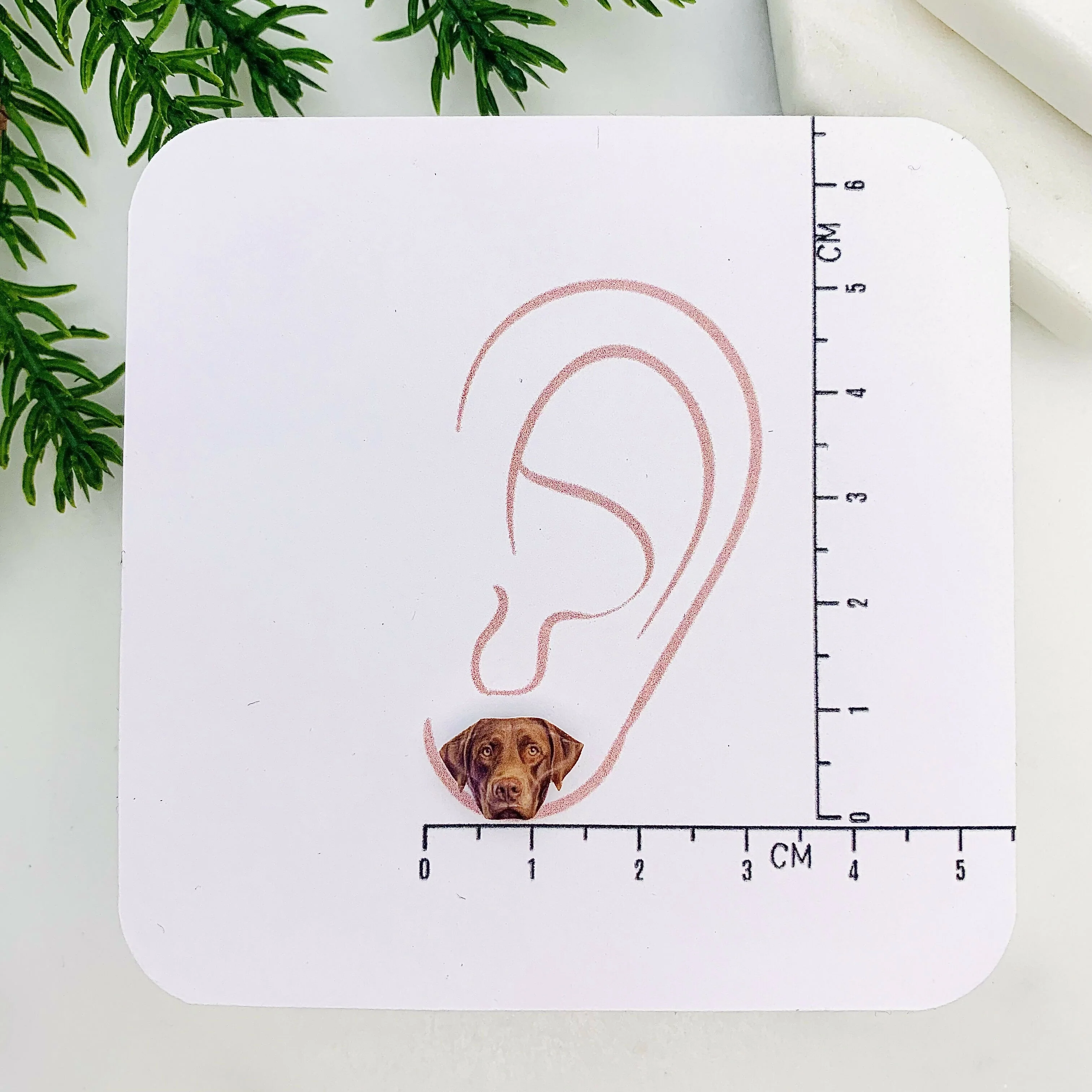 Chocolate Labrador Stud Earrings - Image 3