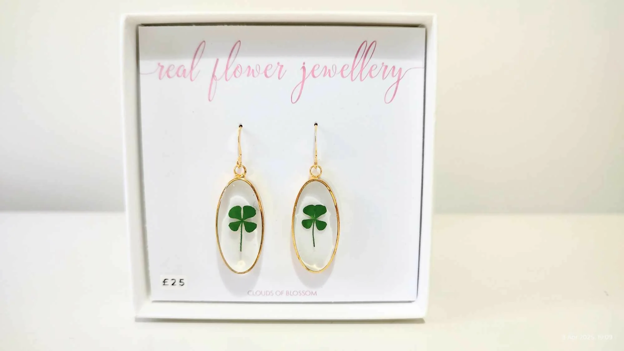 Clover Oval Earrings Gold Plated