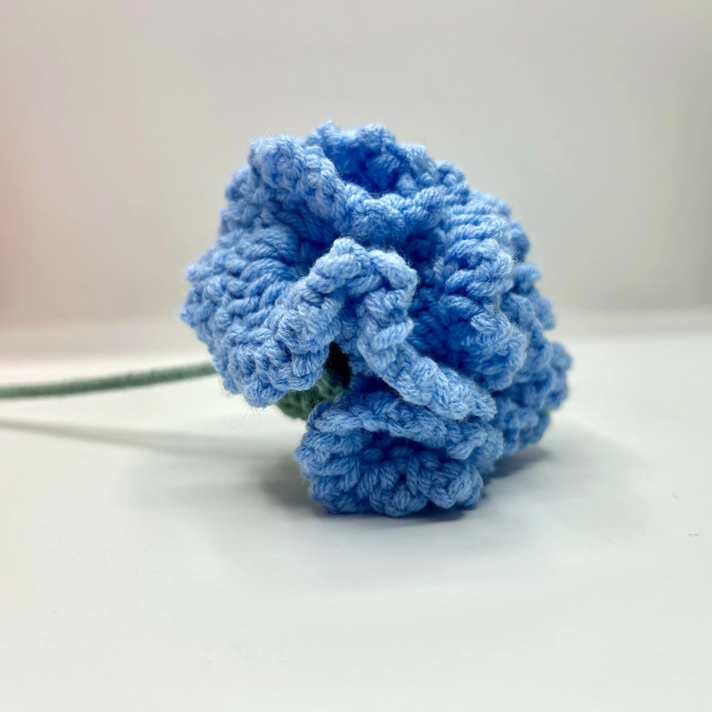 Crochet Carnation Blooms - Image 2