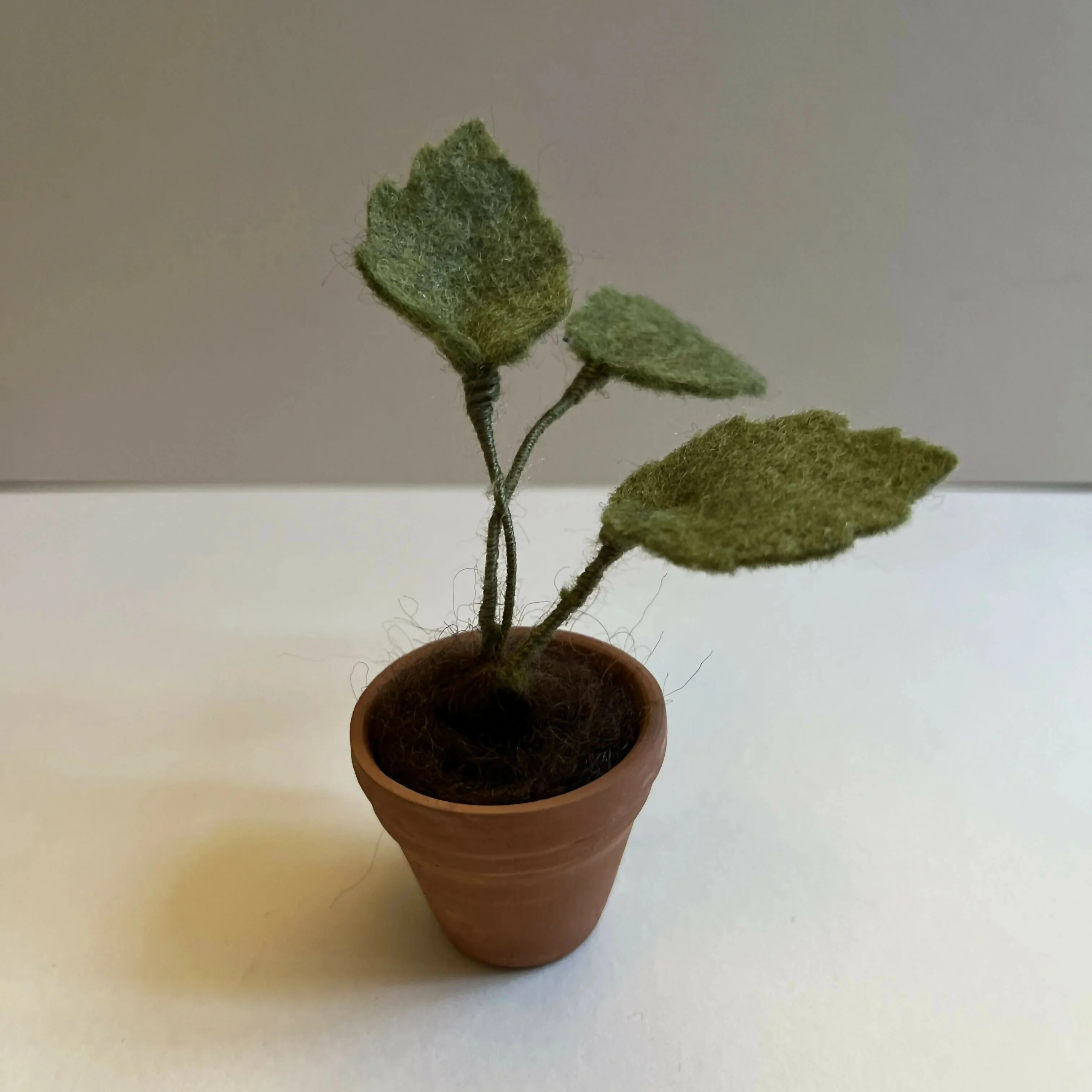 Crochet and Felt Leafy Plant Pot - Image 2