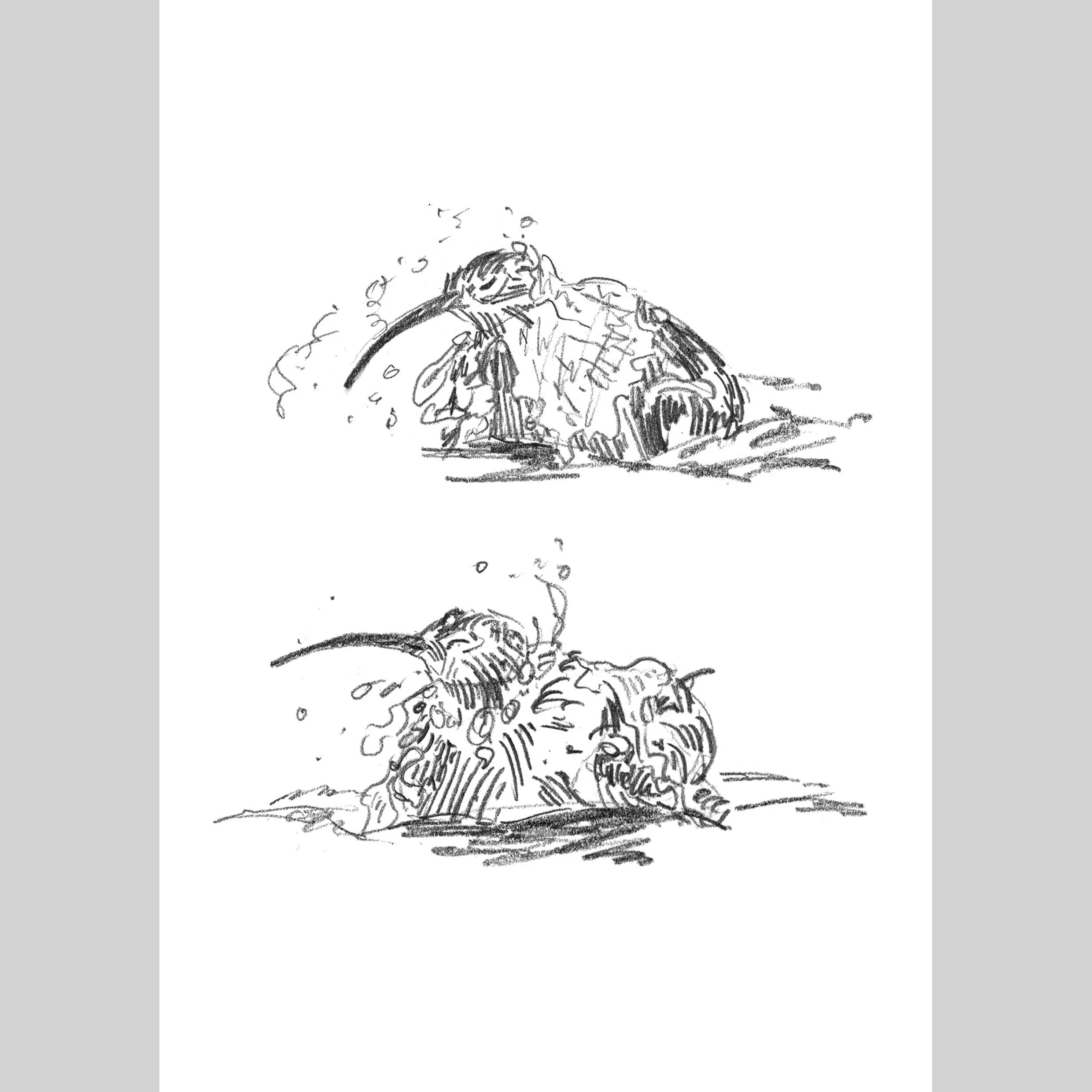 Curlew Sketches - A6 Print