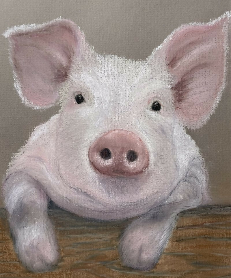 CUTE ANIMAL COASTERS - Image 3