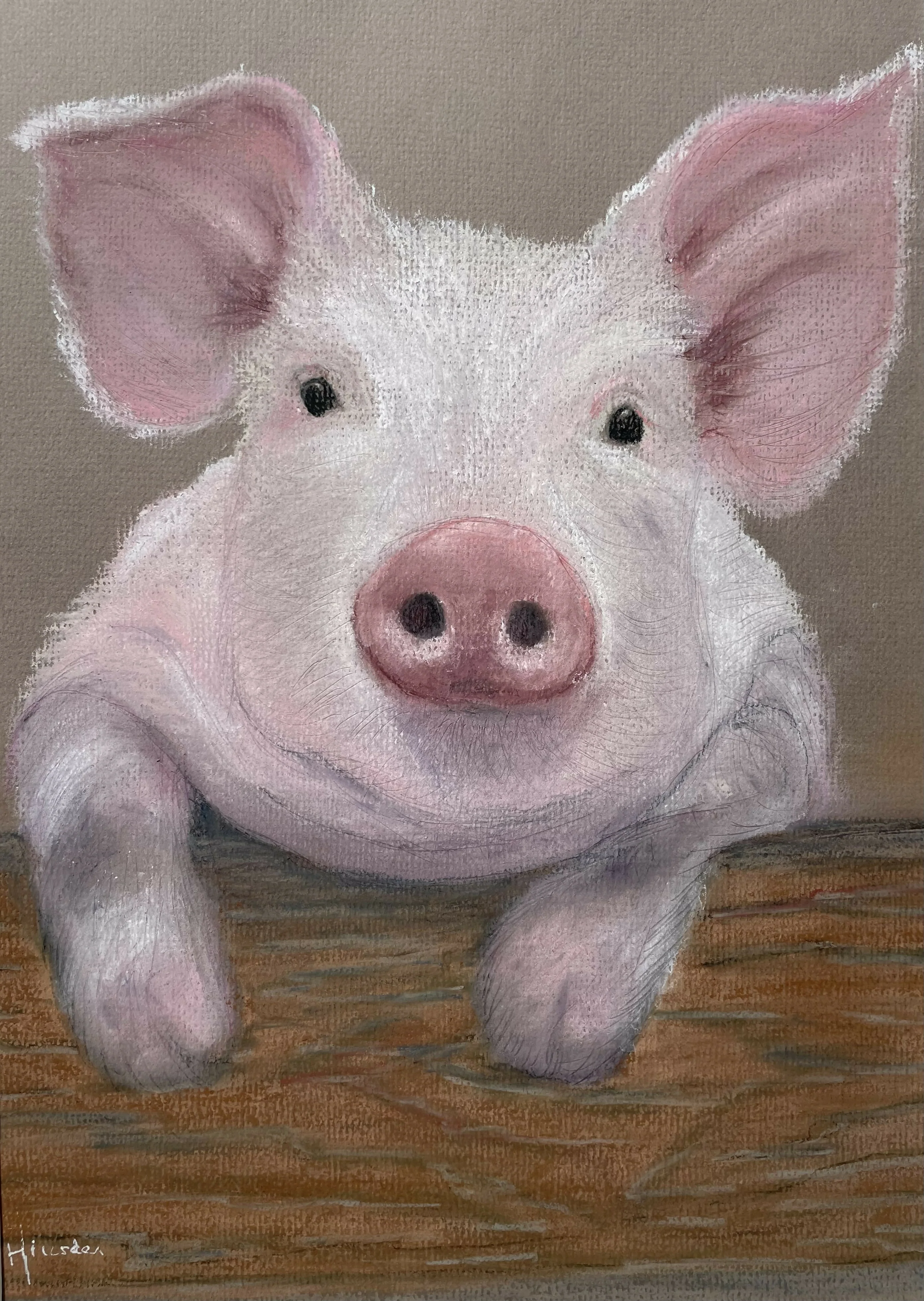 CUTE ANIMAL FRAMED PRINT 7x5in - Image 3