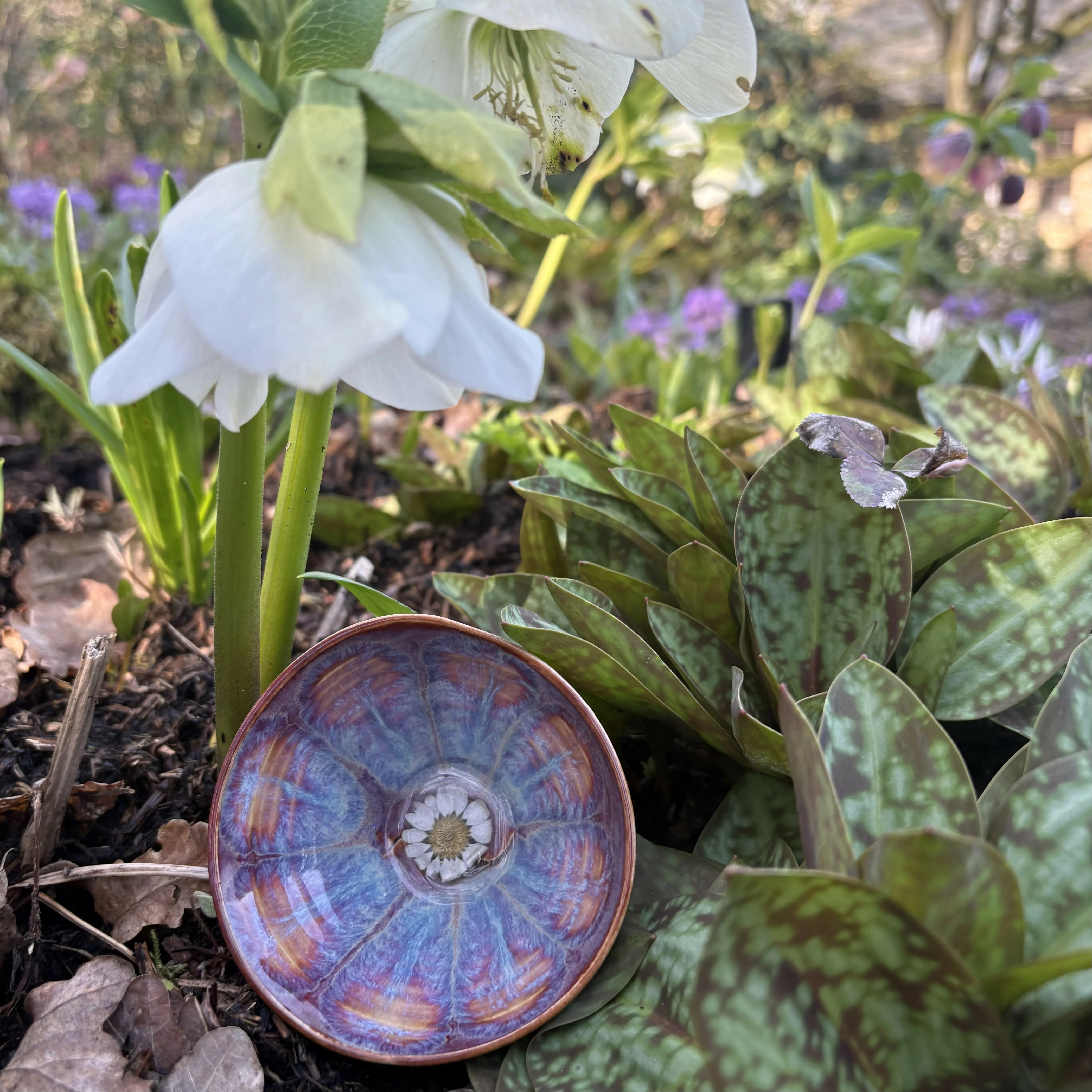 Dried Flower Bowl