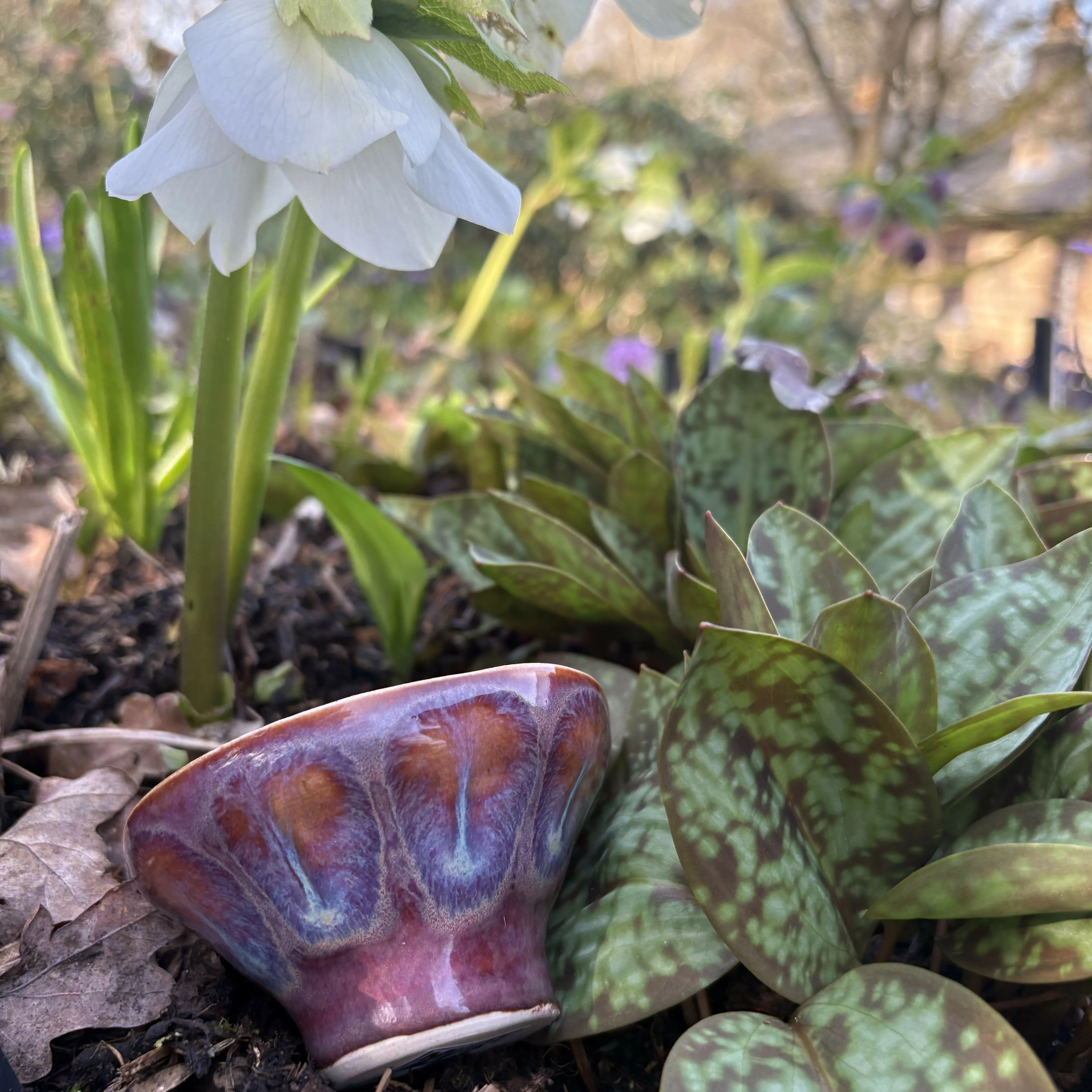 Dried Flower Bowl - Image 2