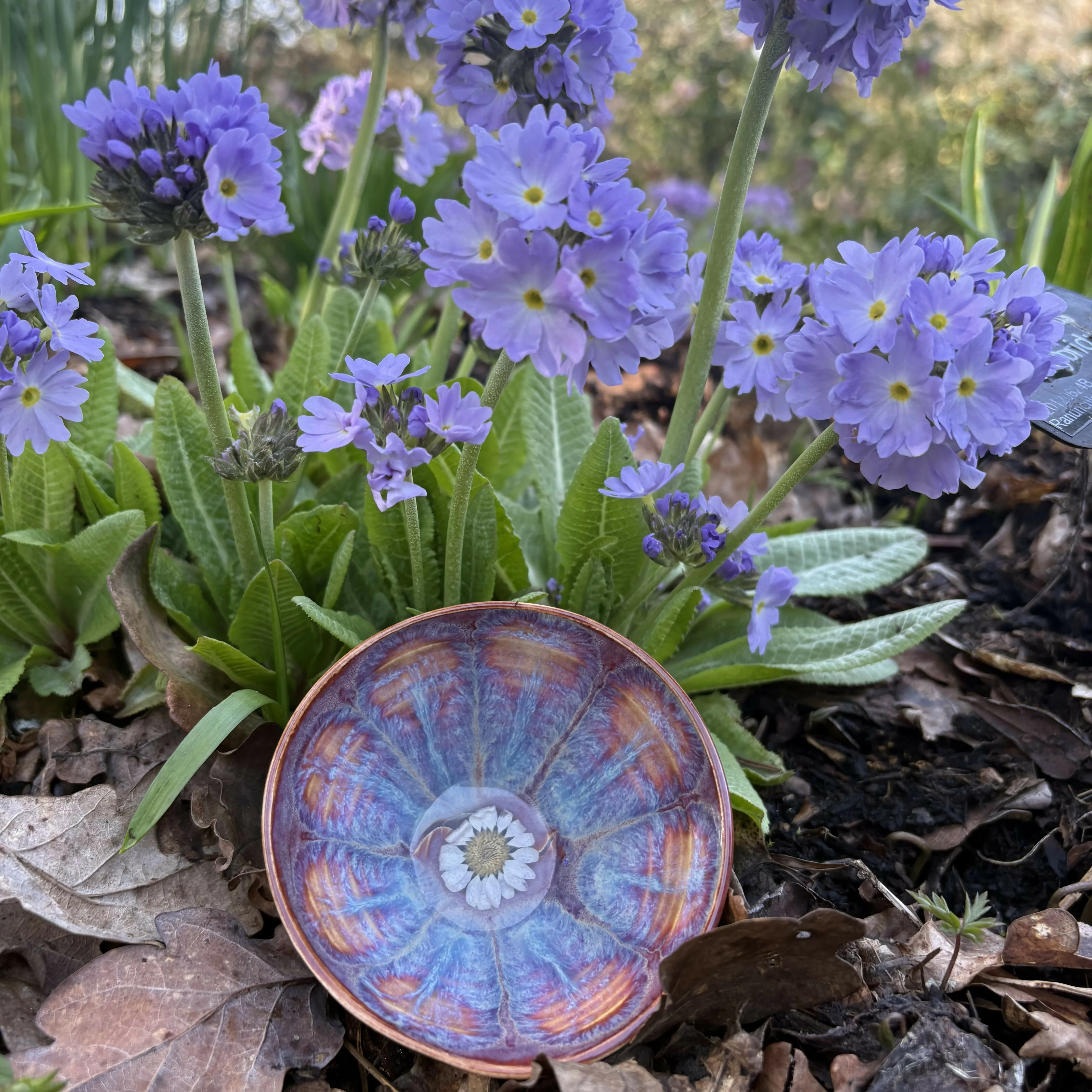 Dried Flower Bowl - Image 3