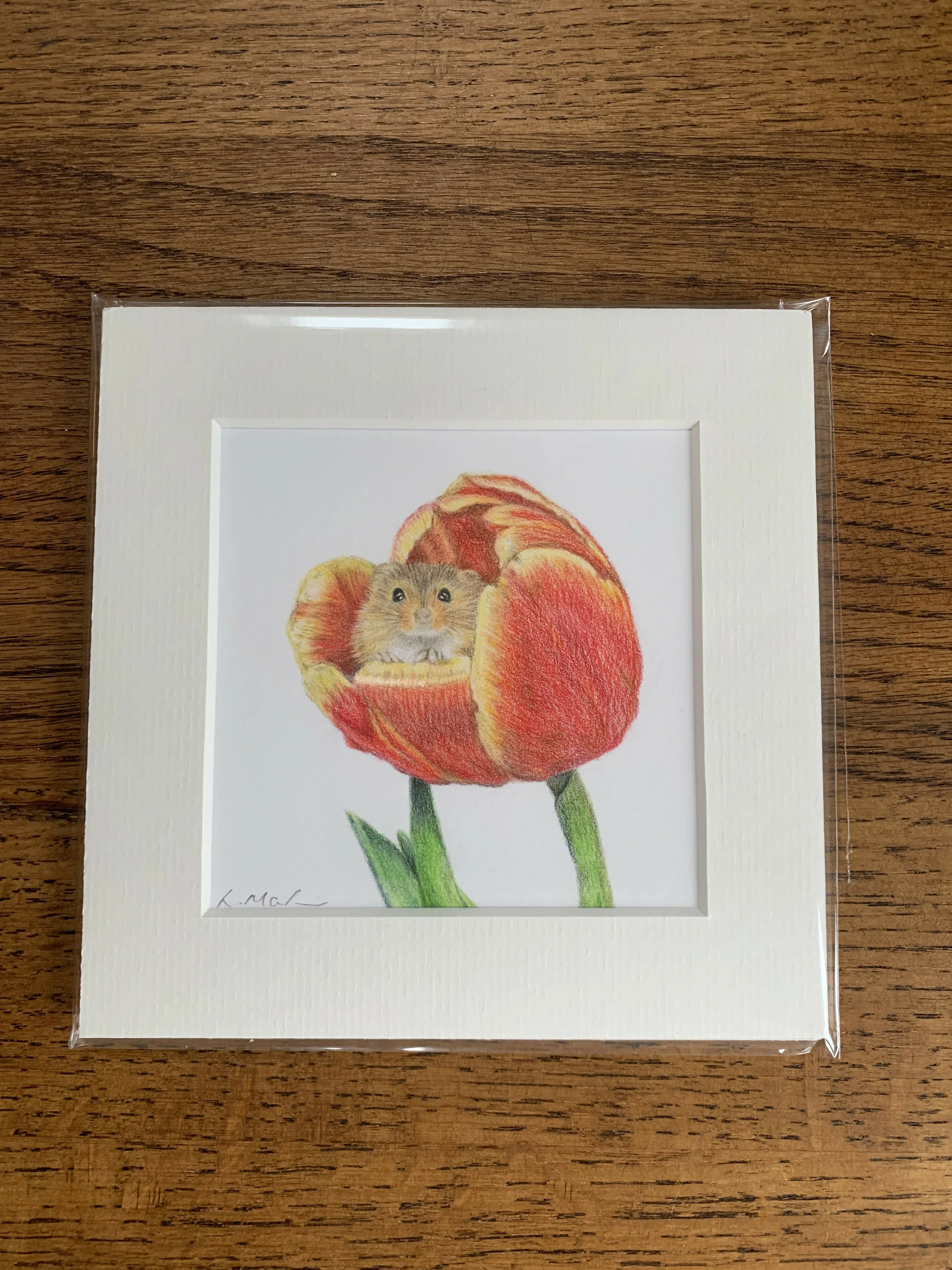 Fine Art Giclée Print of a Harvest Mouse in a Tulip. Framed or Unframed. - Image 2