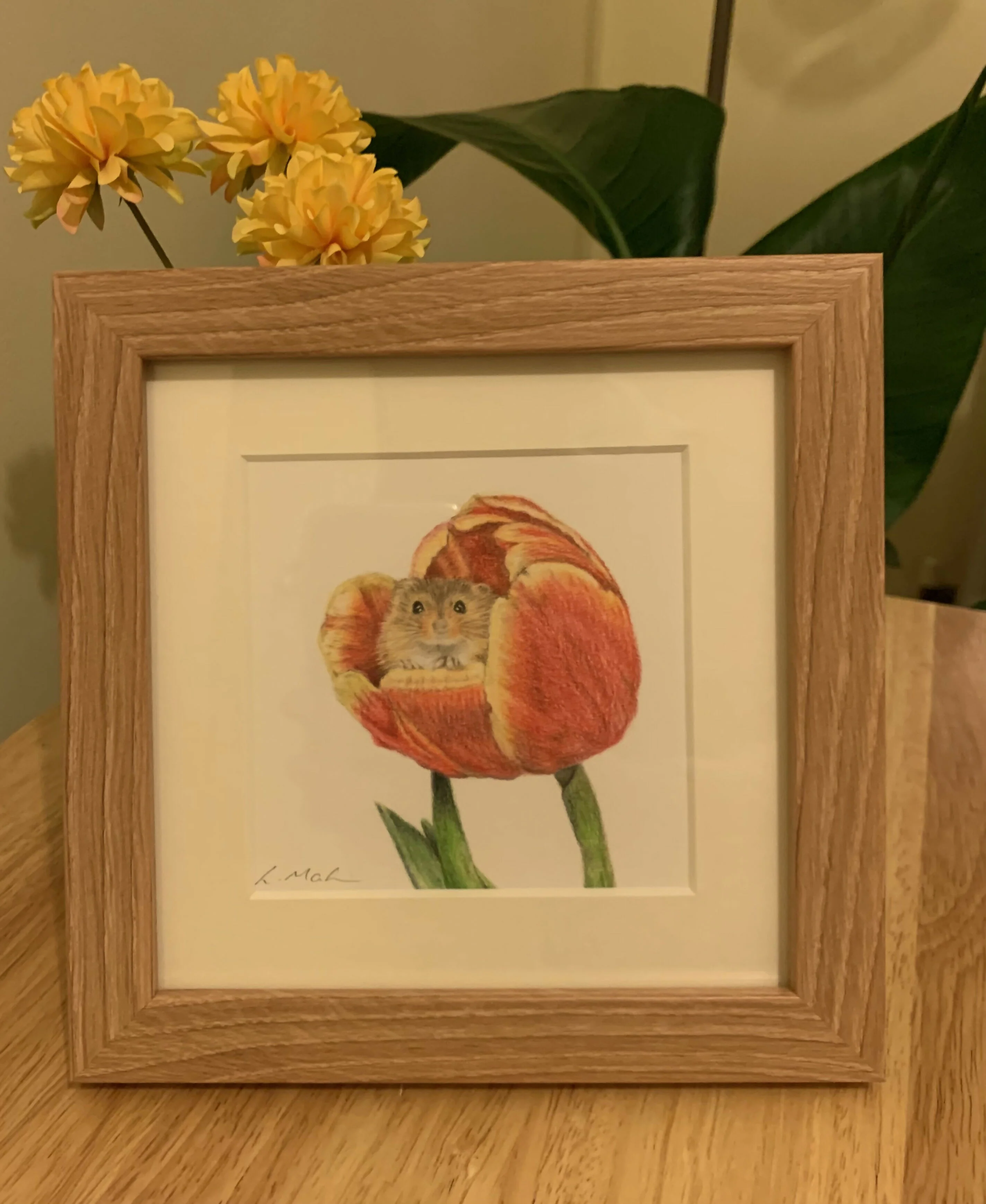 Fine Art Giclée Print of a Harvest Mouse in a Tulip. Framed or Unframed. - Image 4