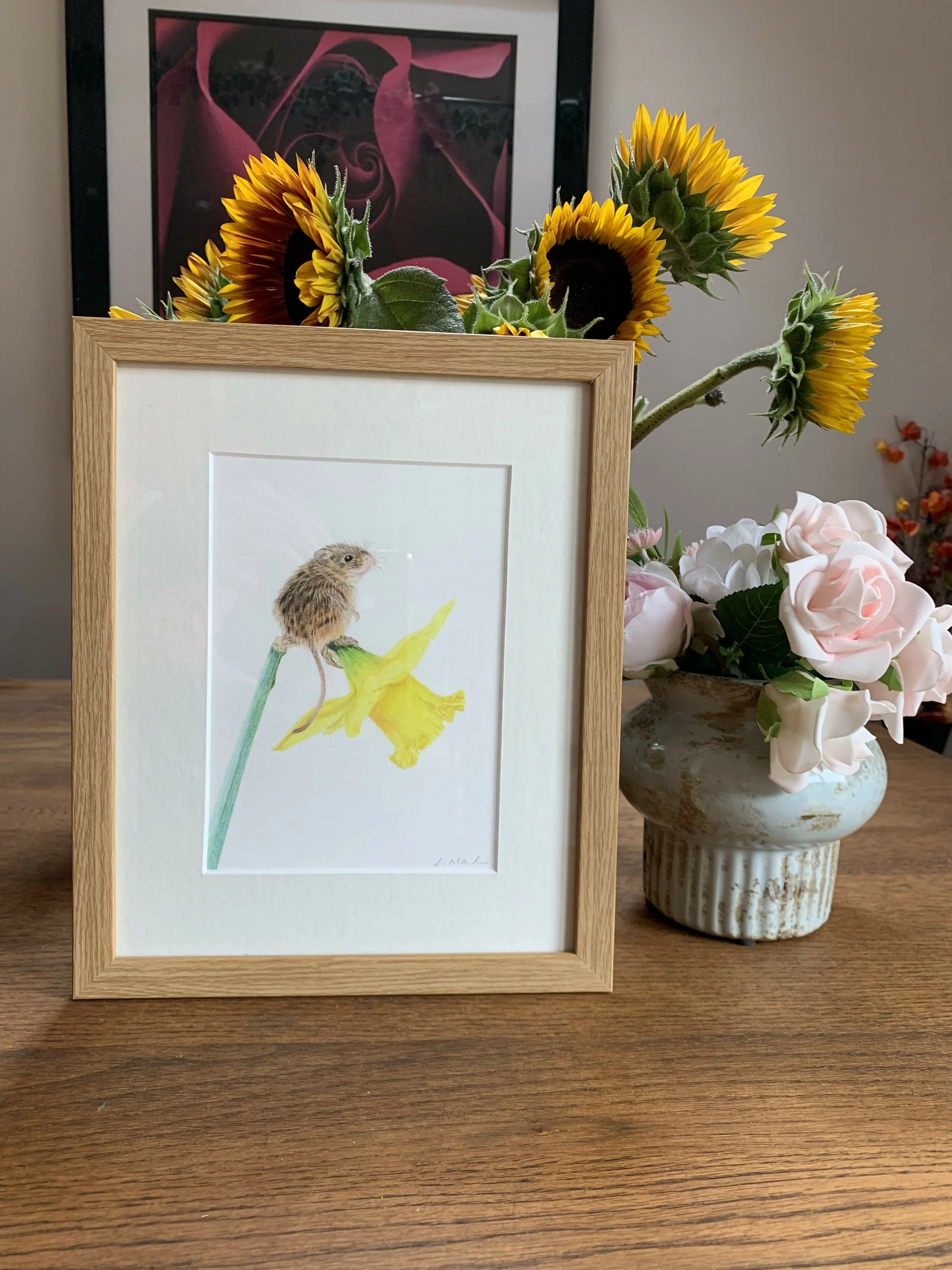 Fine Art Giclée Print of a Harvest Mouse on Daffodil. Framed or Unframed. - Image 3