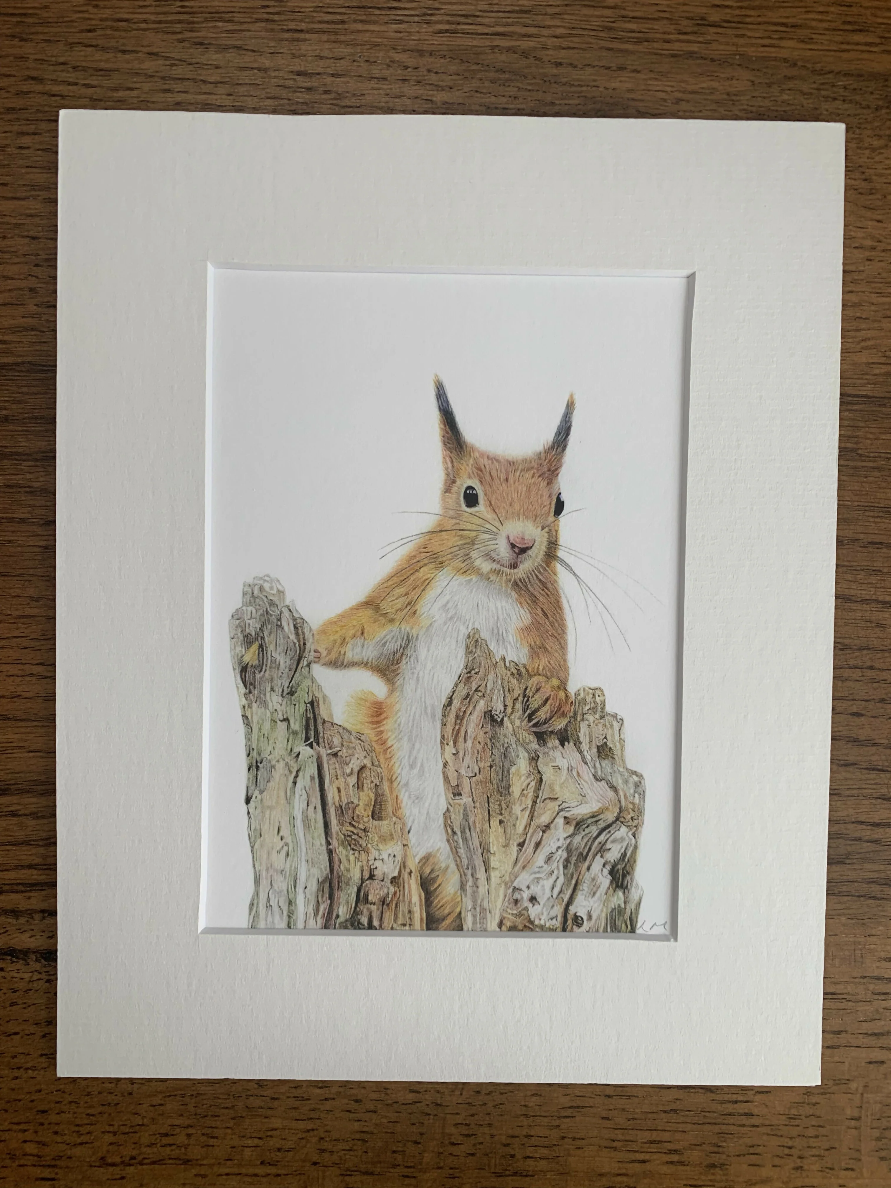 Fine Art Giclée Print of a Red Squirrel. Framed or Unframed. - Image 2