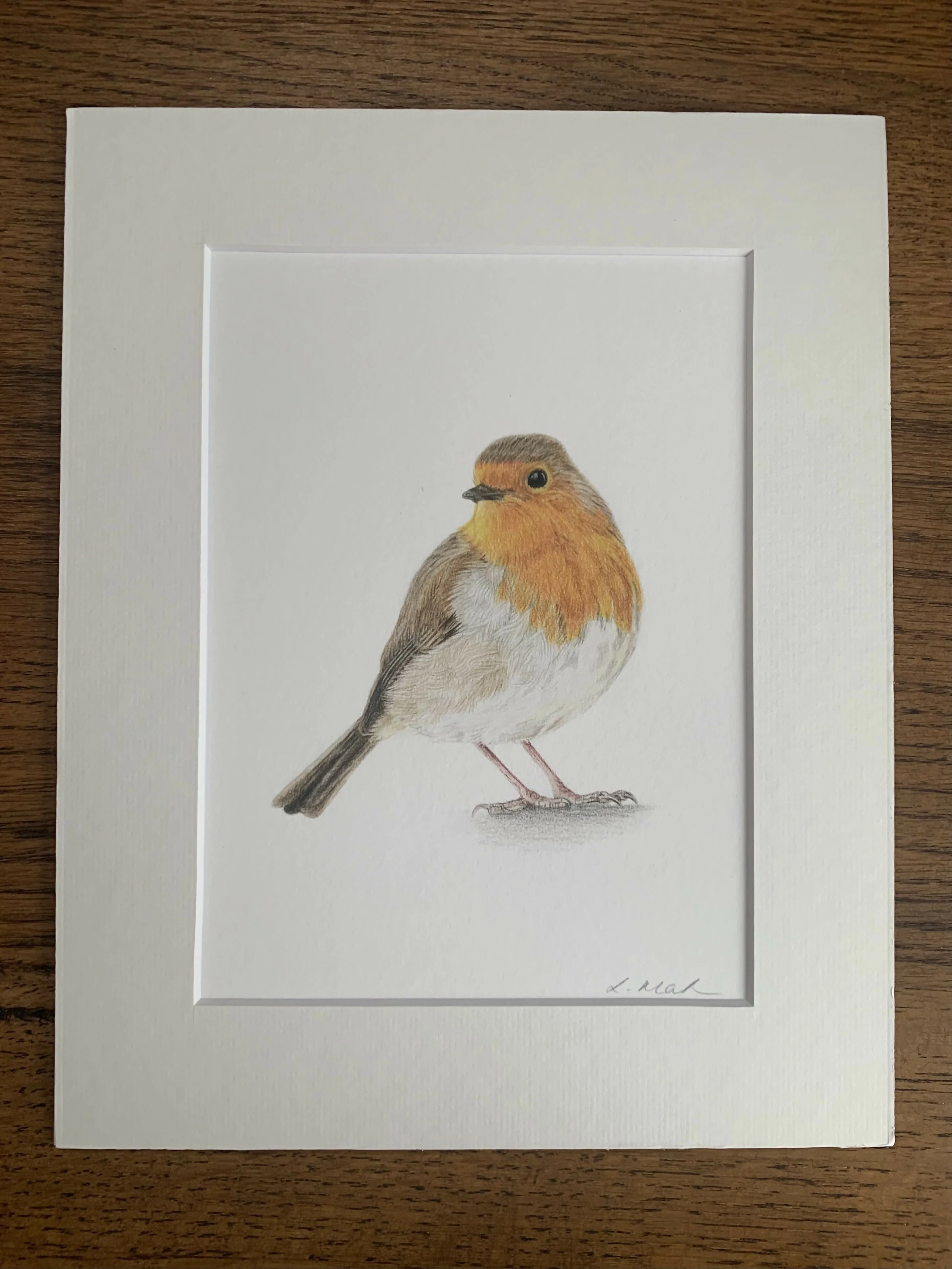 Fine Art Giclée Print of a Robin. Framed or Unframed. - Image 2