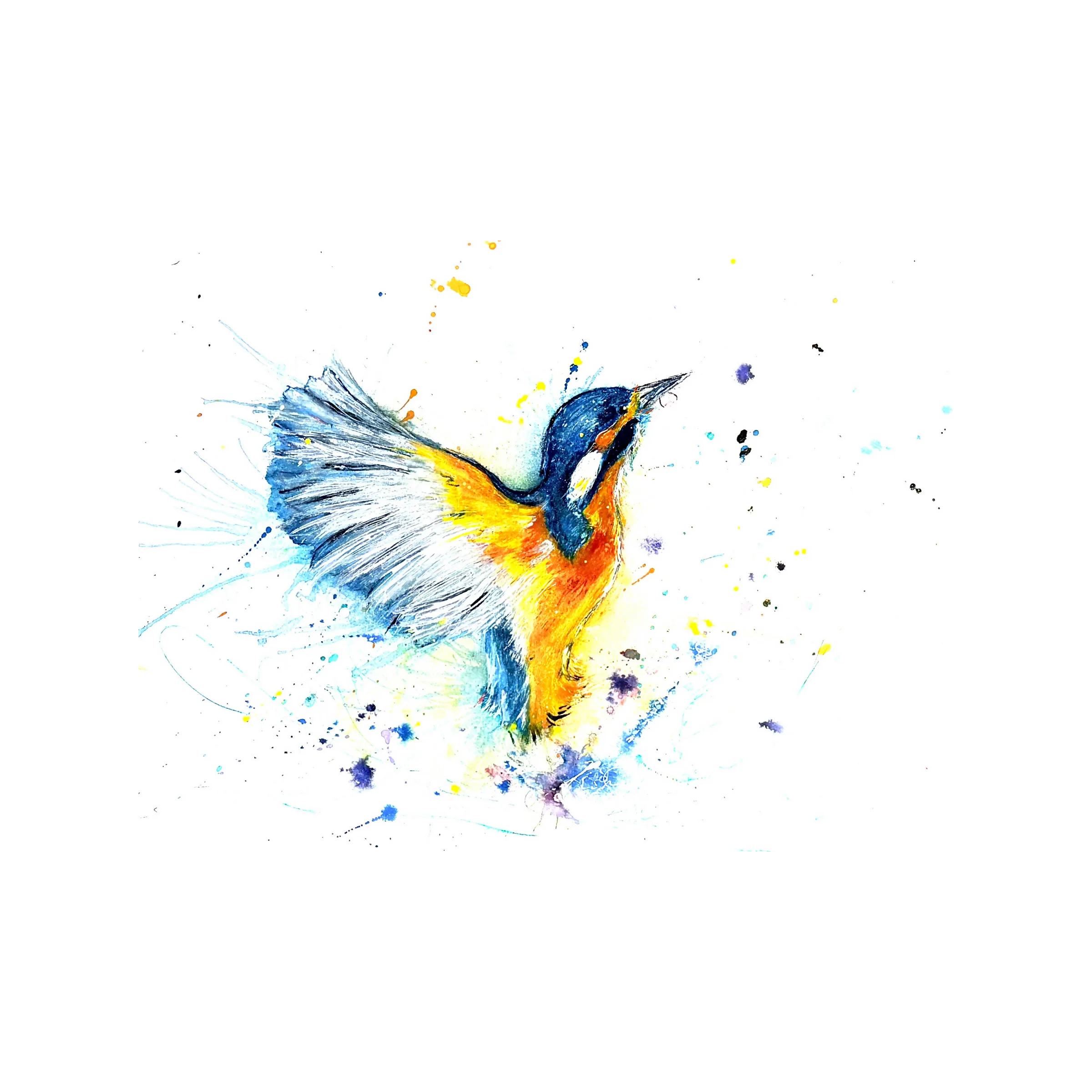 FINE ART PRINT OF KINGFISHER PART OF ANIMAL COLLECTION - Image 5