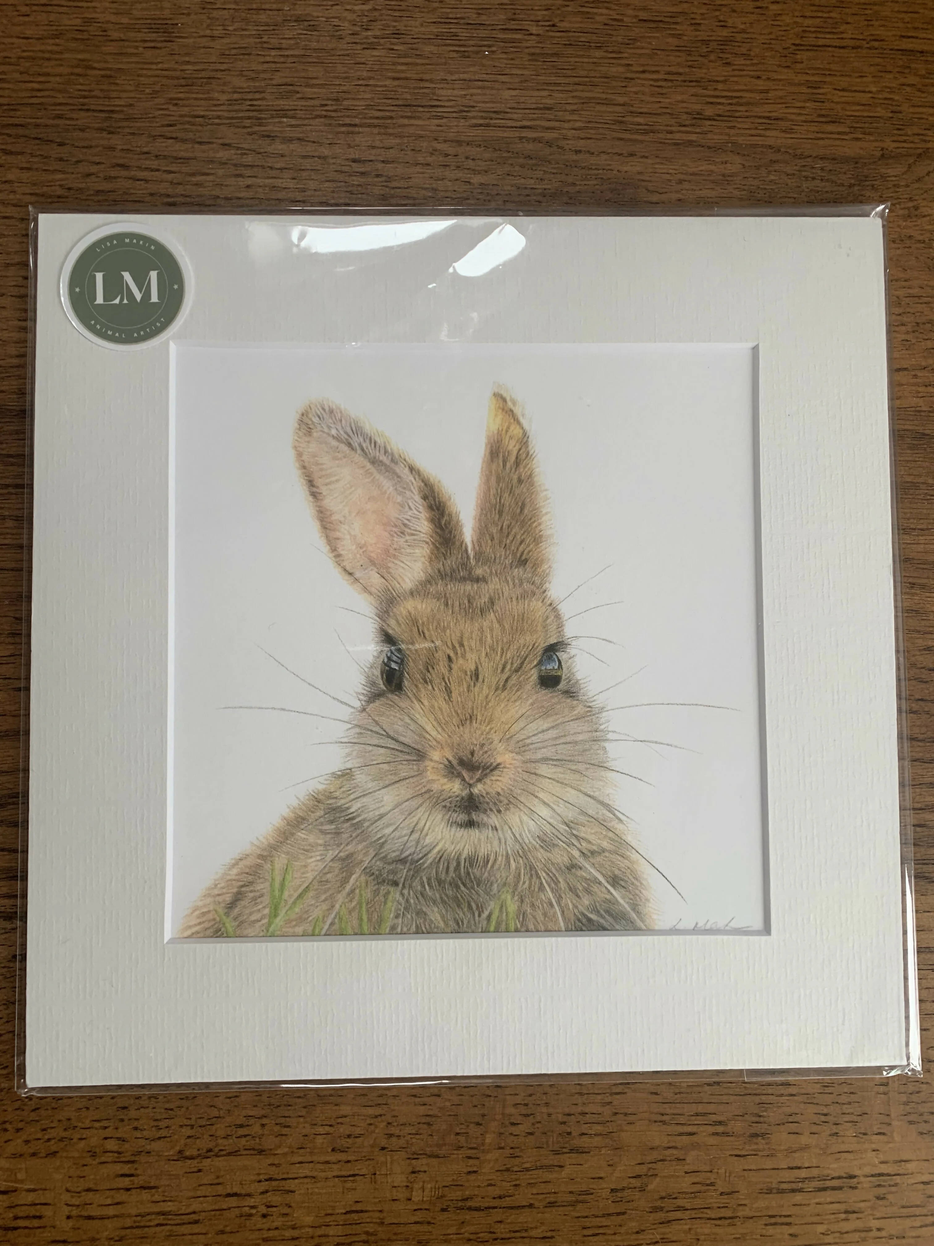 Fine Art Square Giclée Print of a Cute Baby Rabbit - Image 2