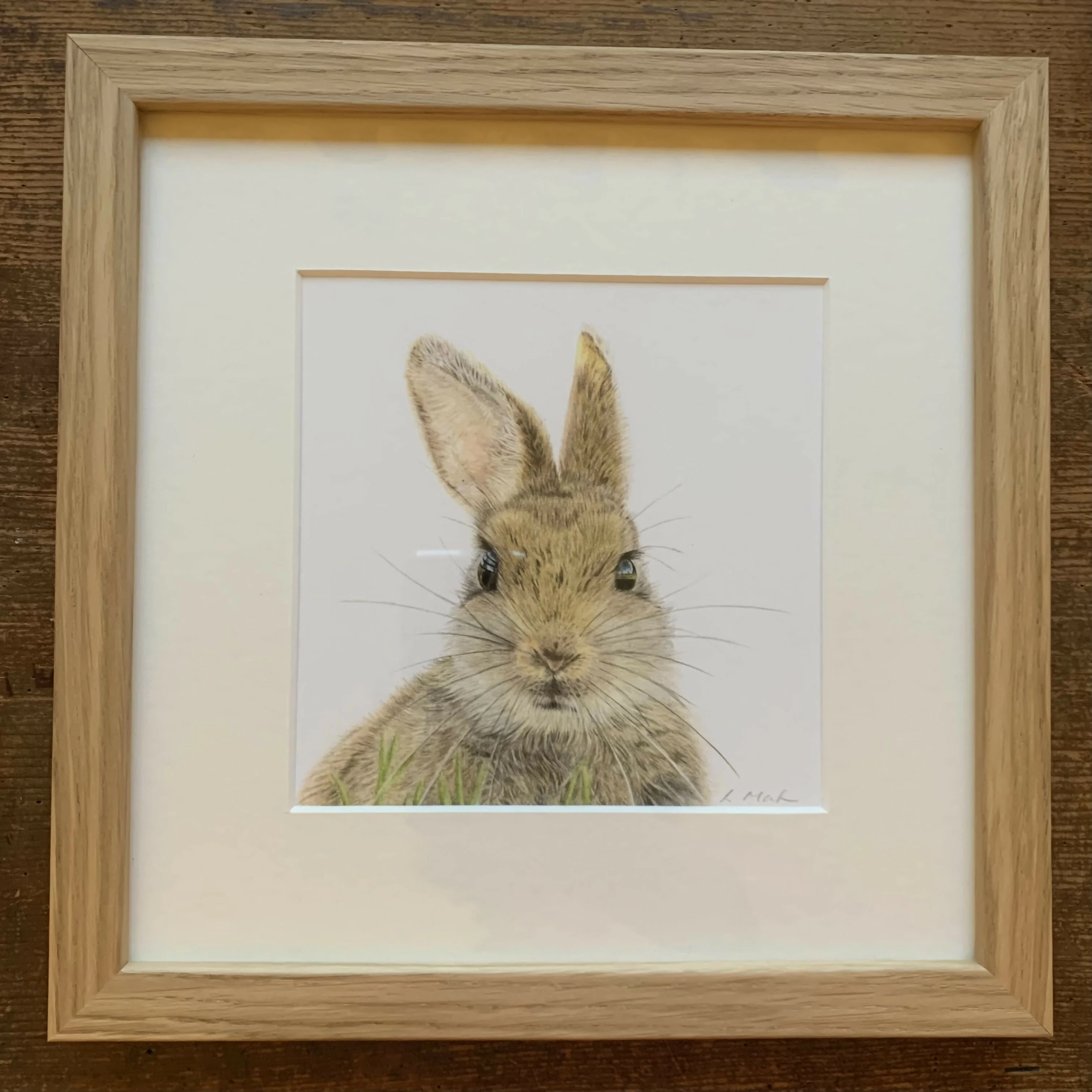 Fine Art Square Giclée Print of a Cute Baby Rabbit - Image 3