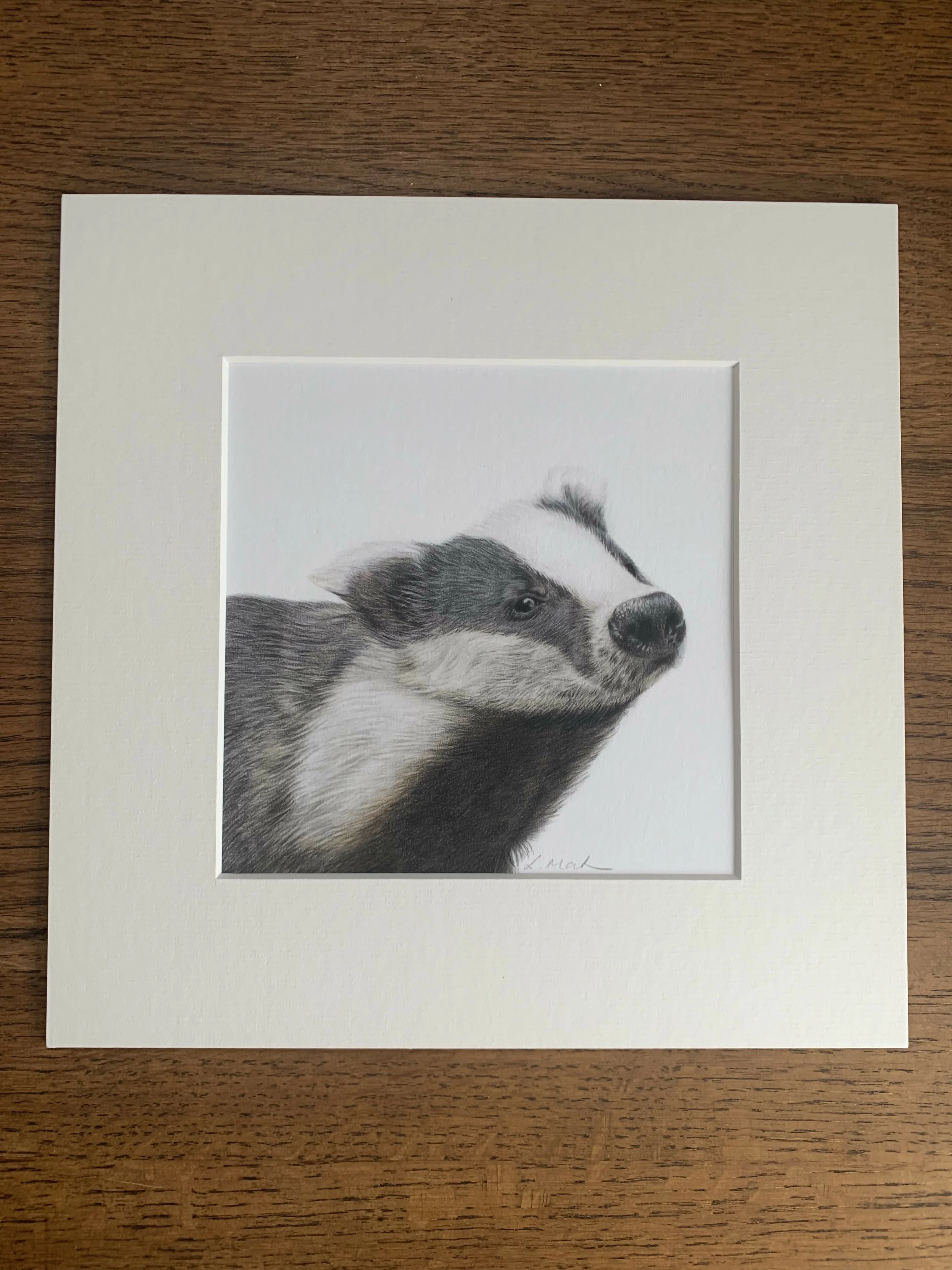 Fine Art Square Giclée Print of Badger - Image 2
