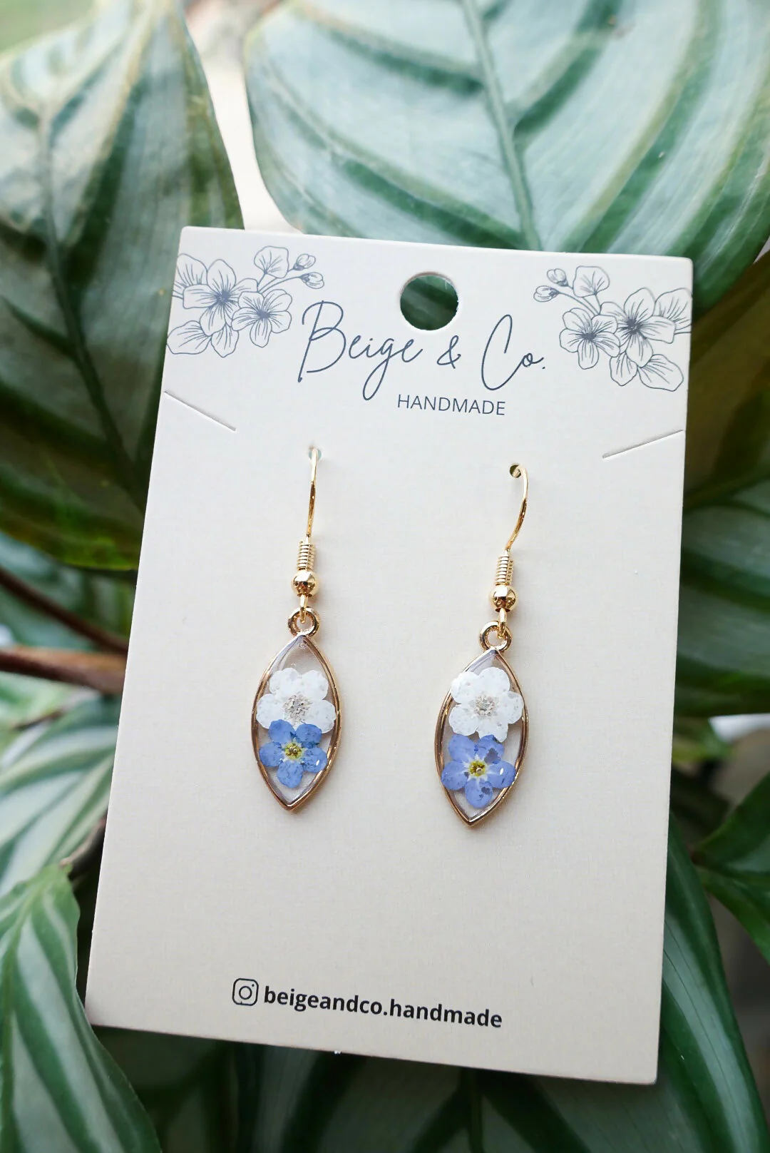 Fish Eye Real Flower Forget Me Not Earrings - Image 2