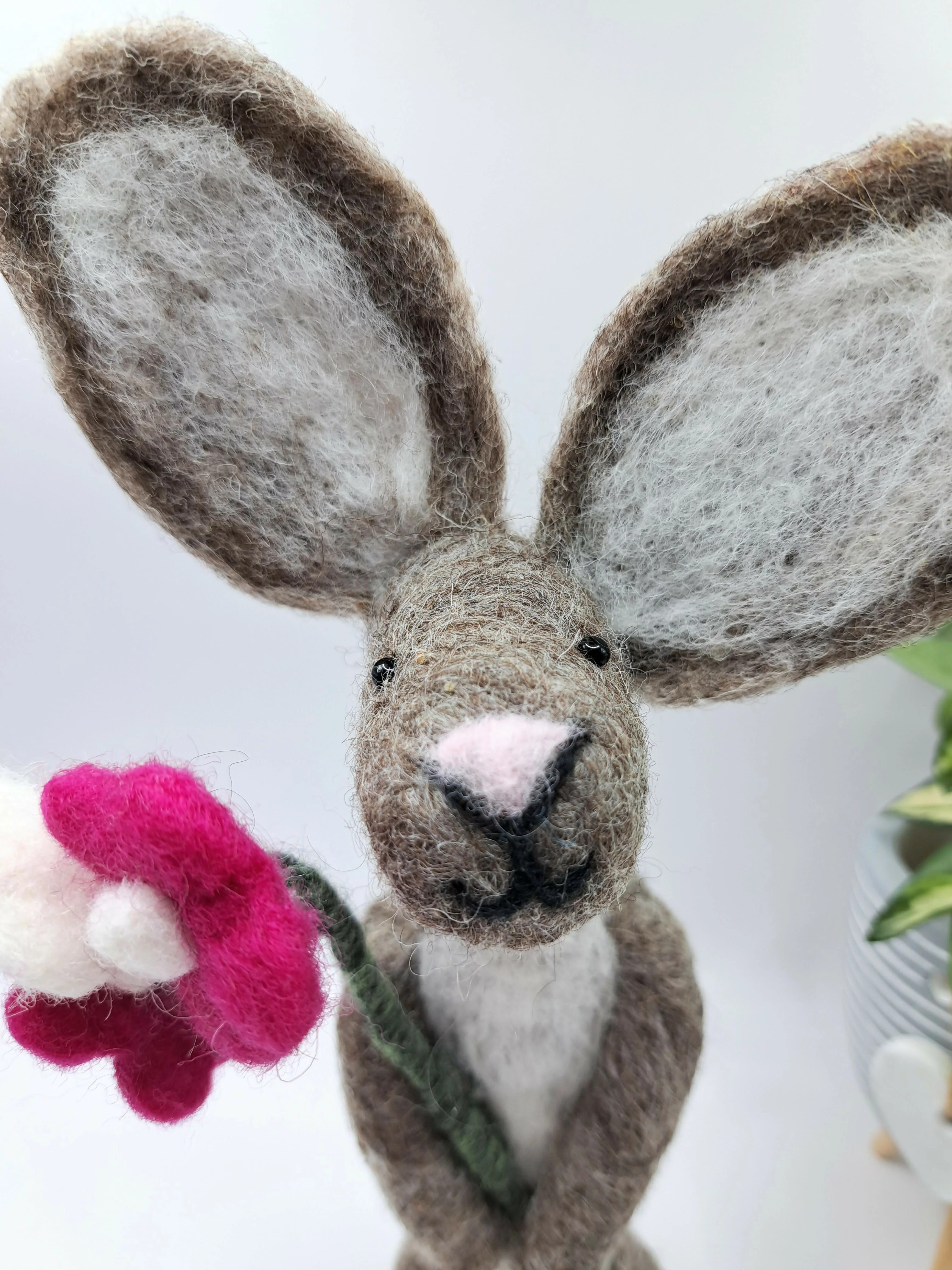 Flora Hare - Image 3