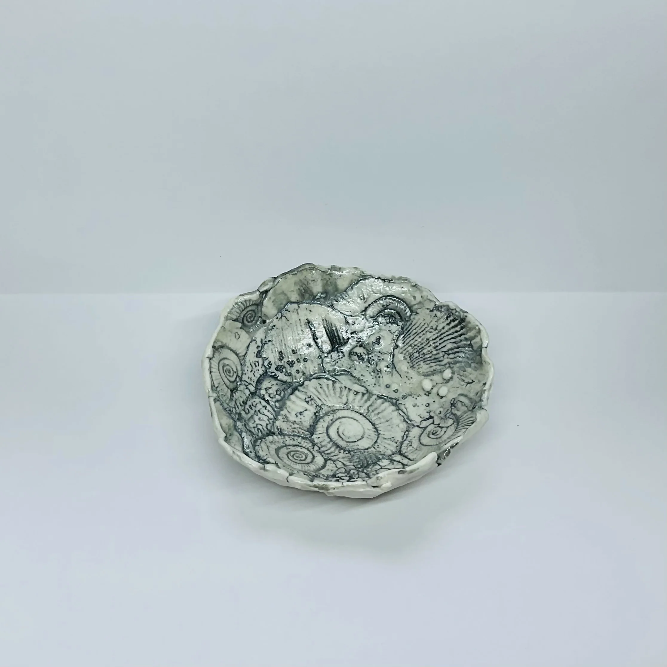 Fossil Dish