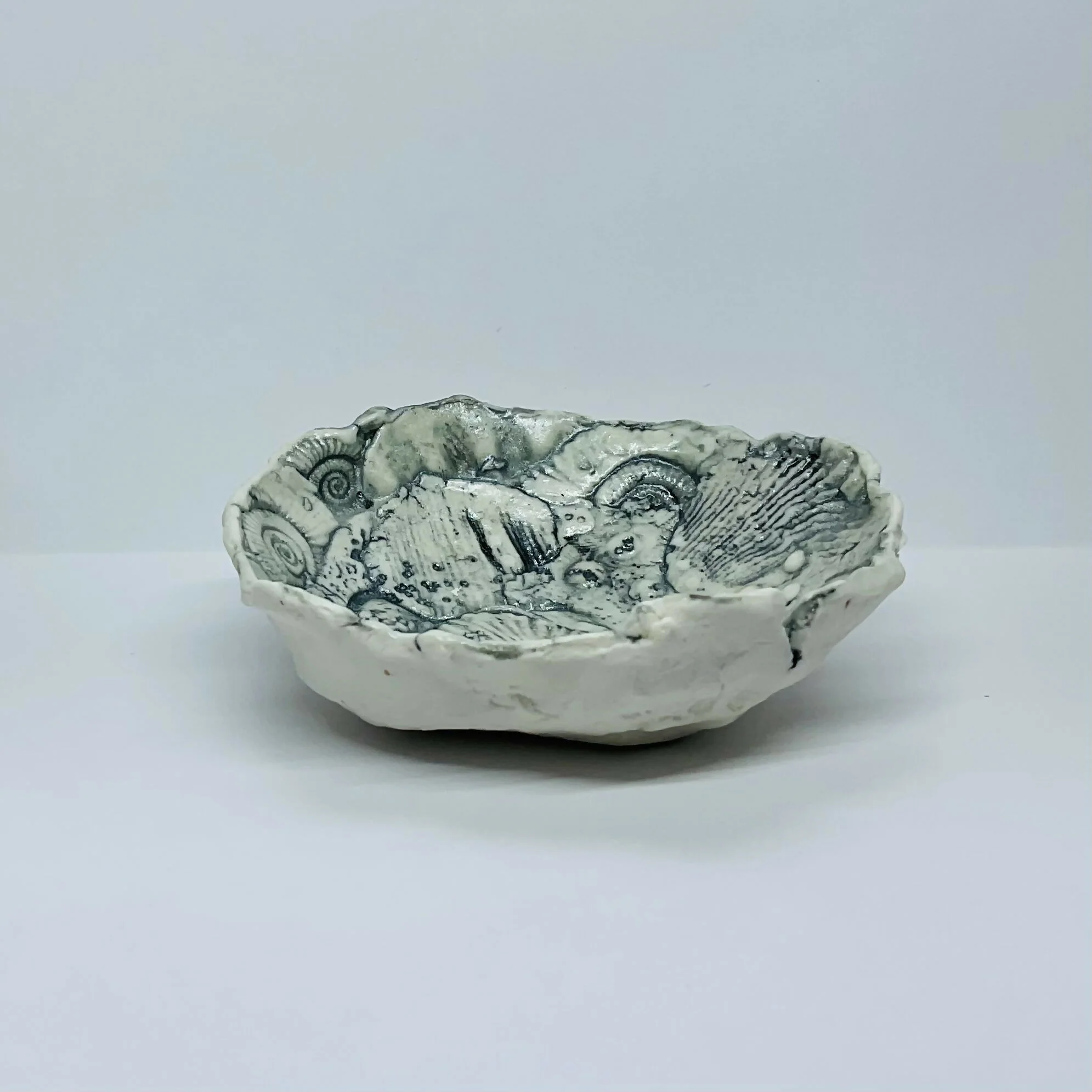 Fossil Dish - Image 2